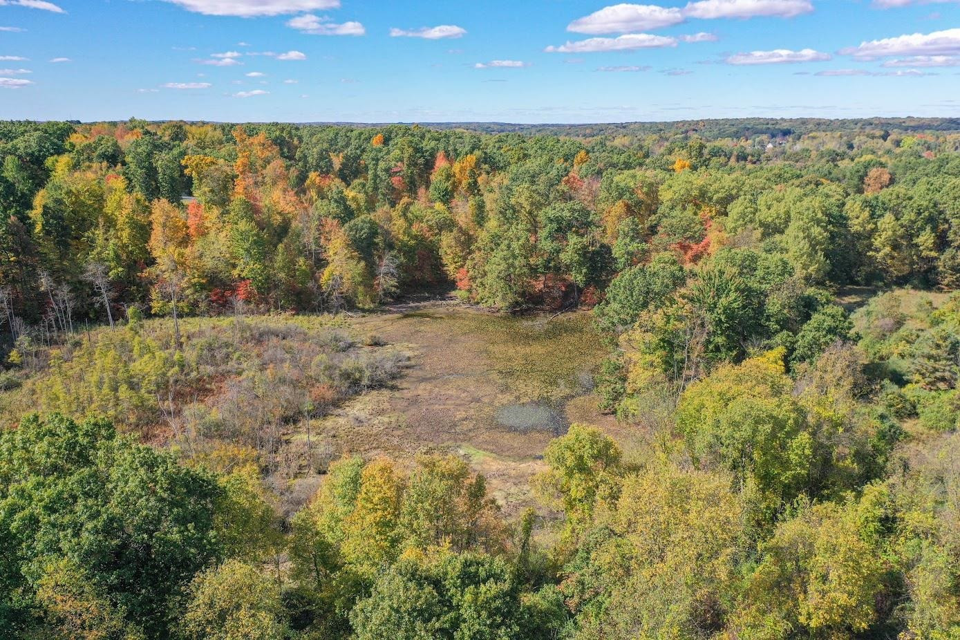 7644 Dilley Road, Davisburg, MI 48350 — Photo 27