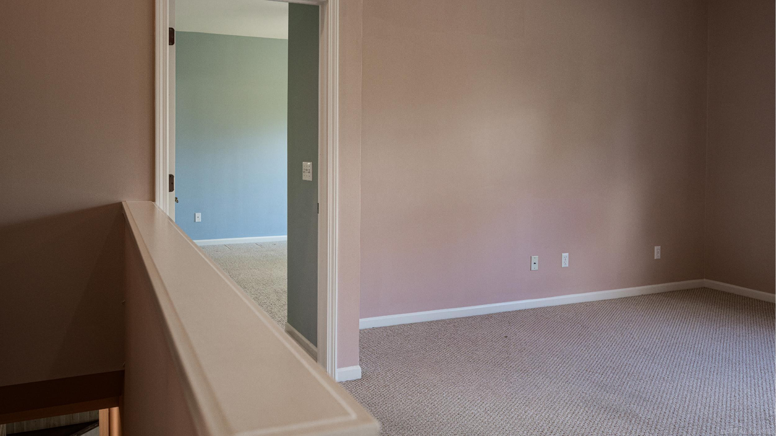 3905 Rainier Drive, Howell, MI 48843 — Photo 14