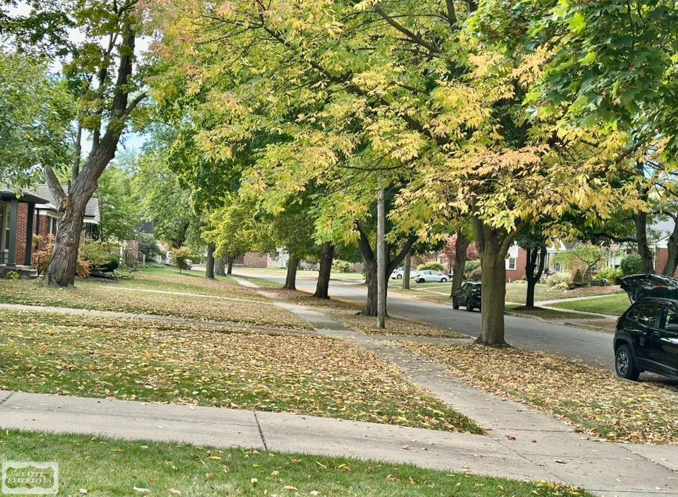 4516 Robinwood Avenue, Royal Oak, MI 48073 — Photo 27