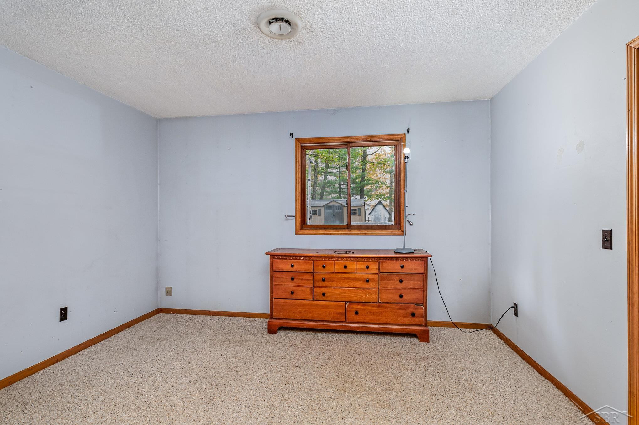 4701 Scenic River Drive, Alger, MI 48610 — Photo 11