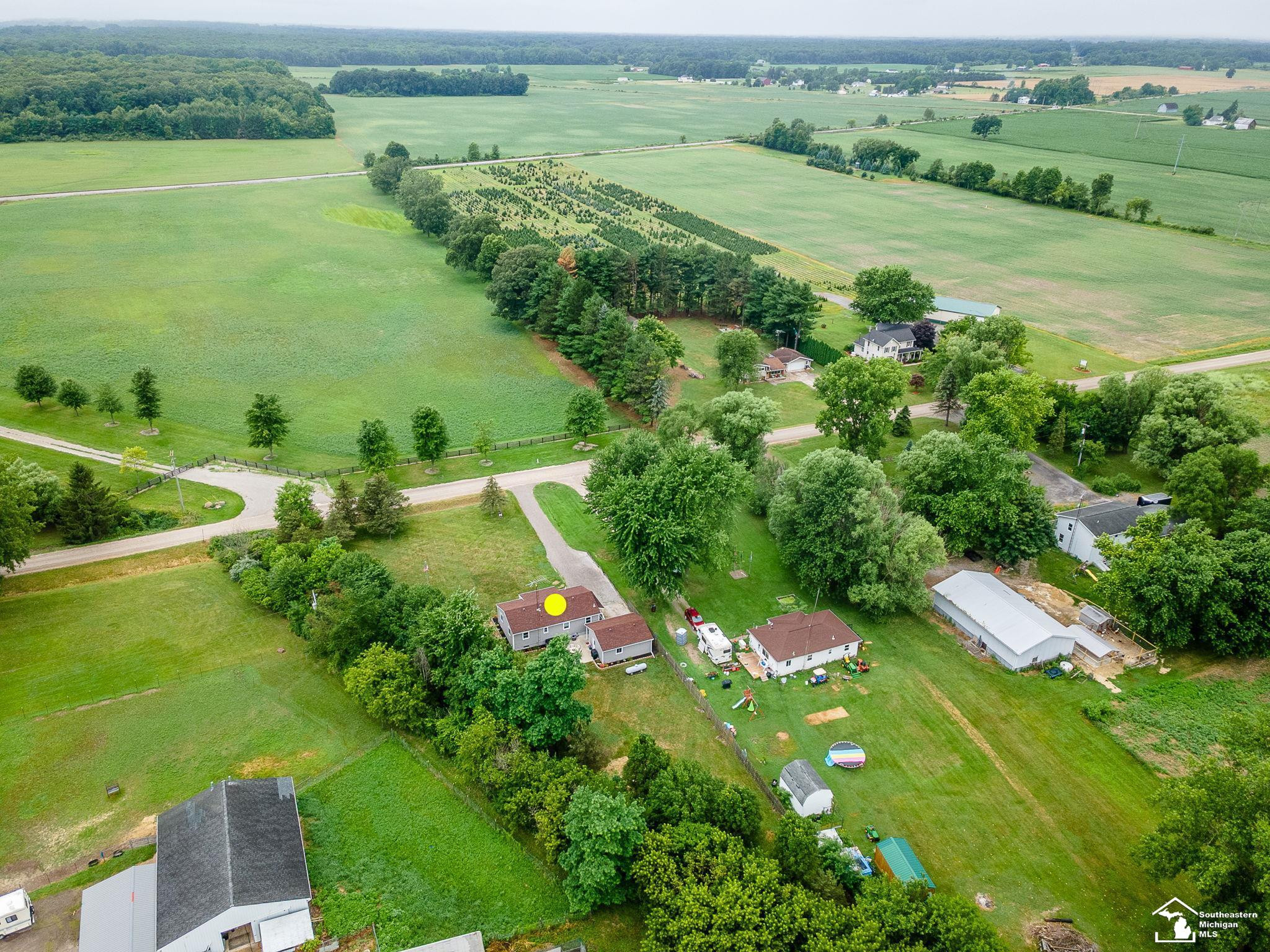 7325 Jackman Road, Ida, MI 48140 — Photo 34