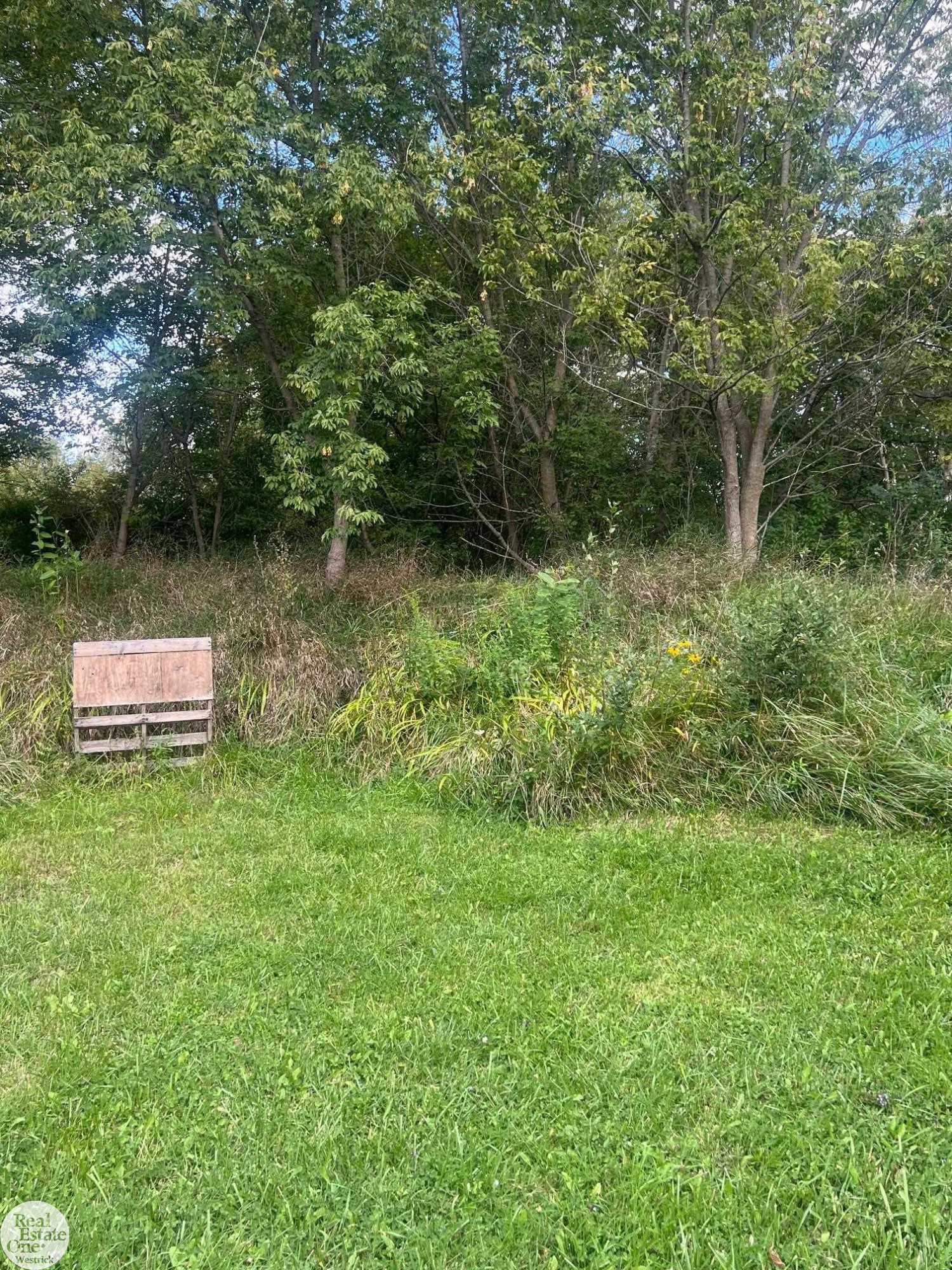 1471 S Allen Road, MI 48079 — Photo 72