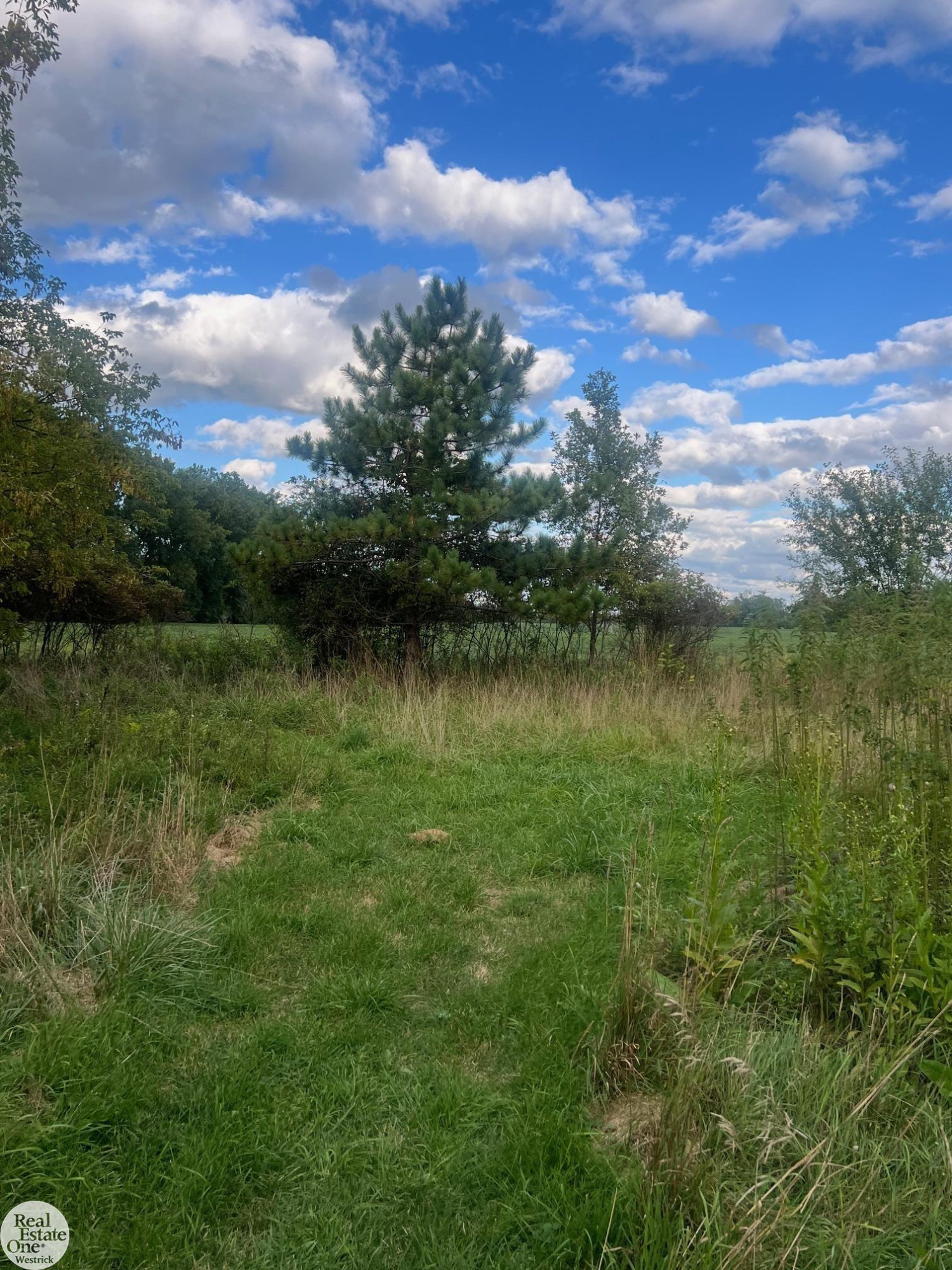 1471 S Allen Road, MI 48079 — Photo 76
