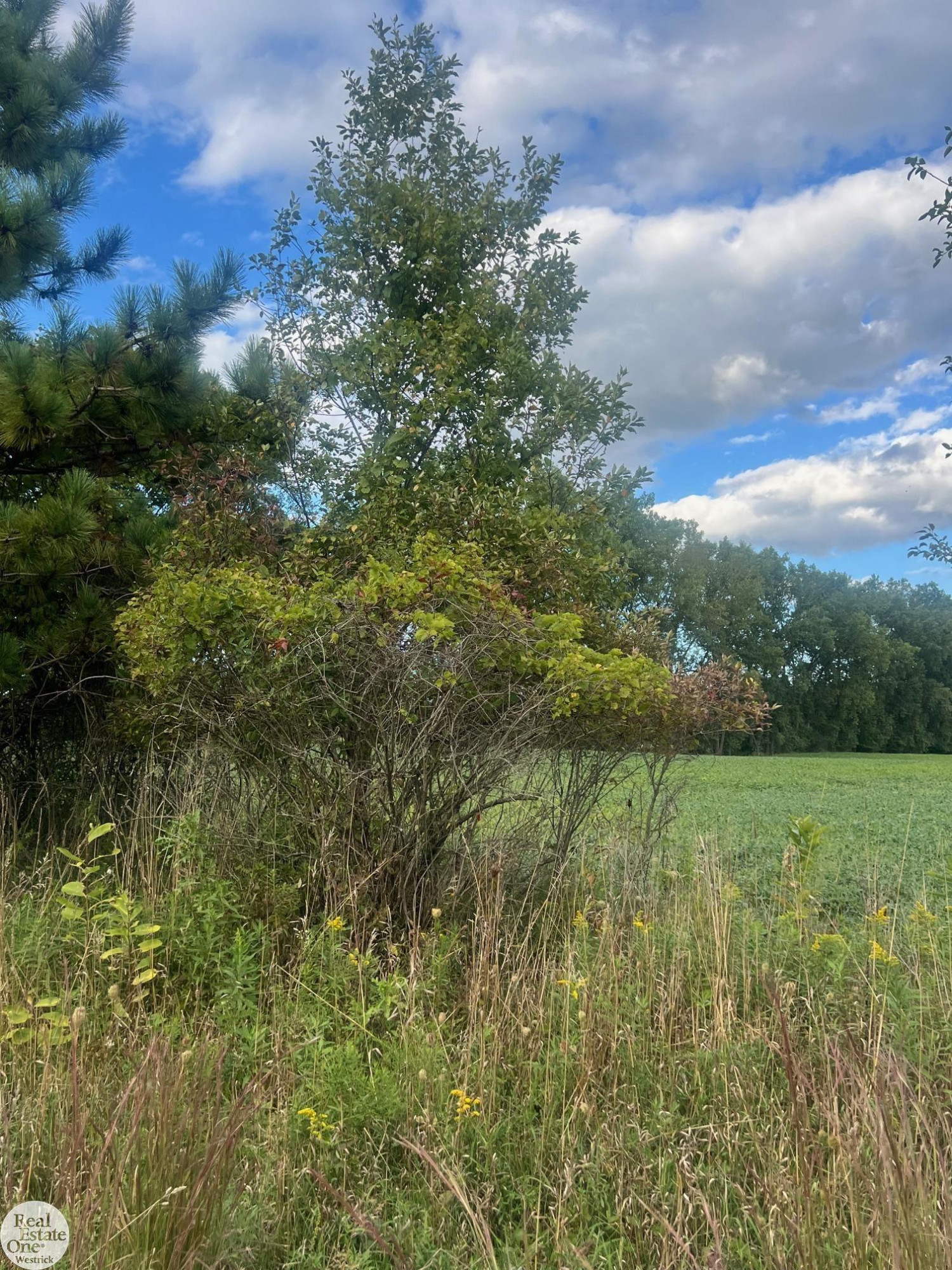 1471 S Allen Road, MI 48079 — Photo 77