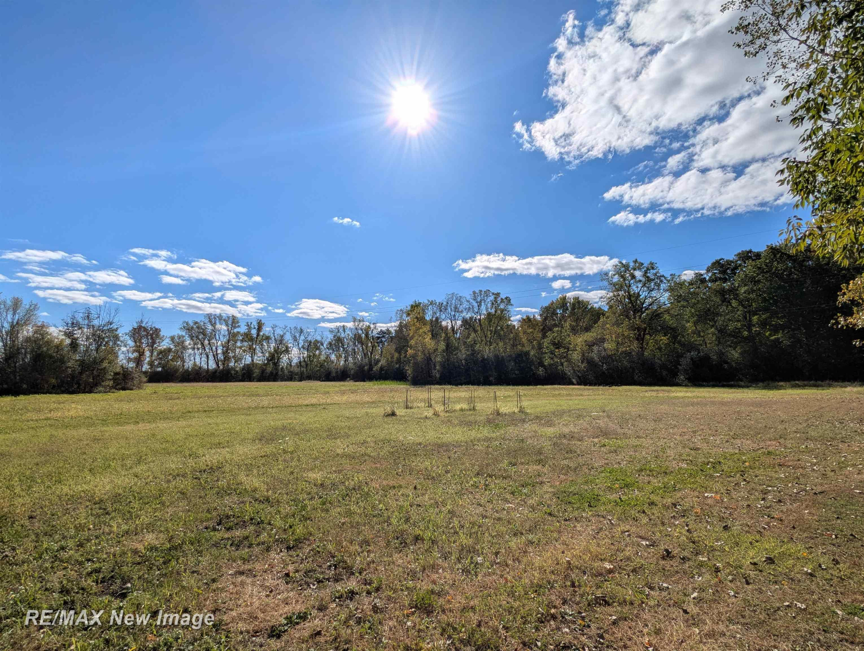 7110 E Townline Road, Birch Run, MI 48415 — Photo 20
