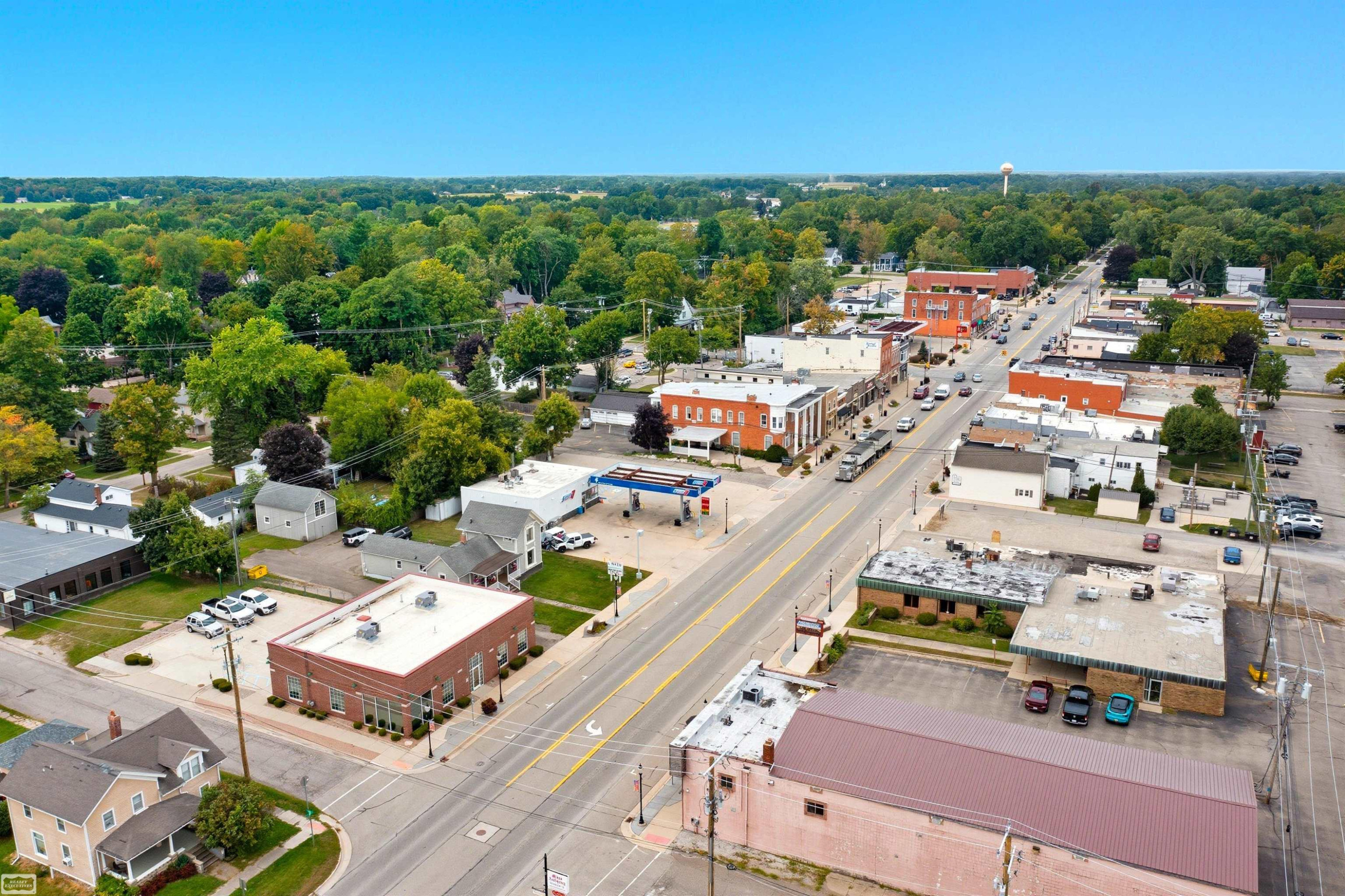 218 S Main Street, Almont, MI 48003 — Photo 5