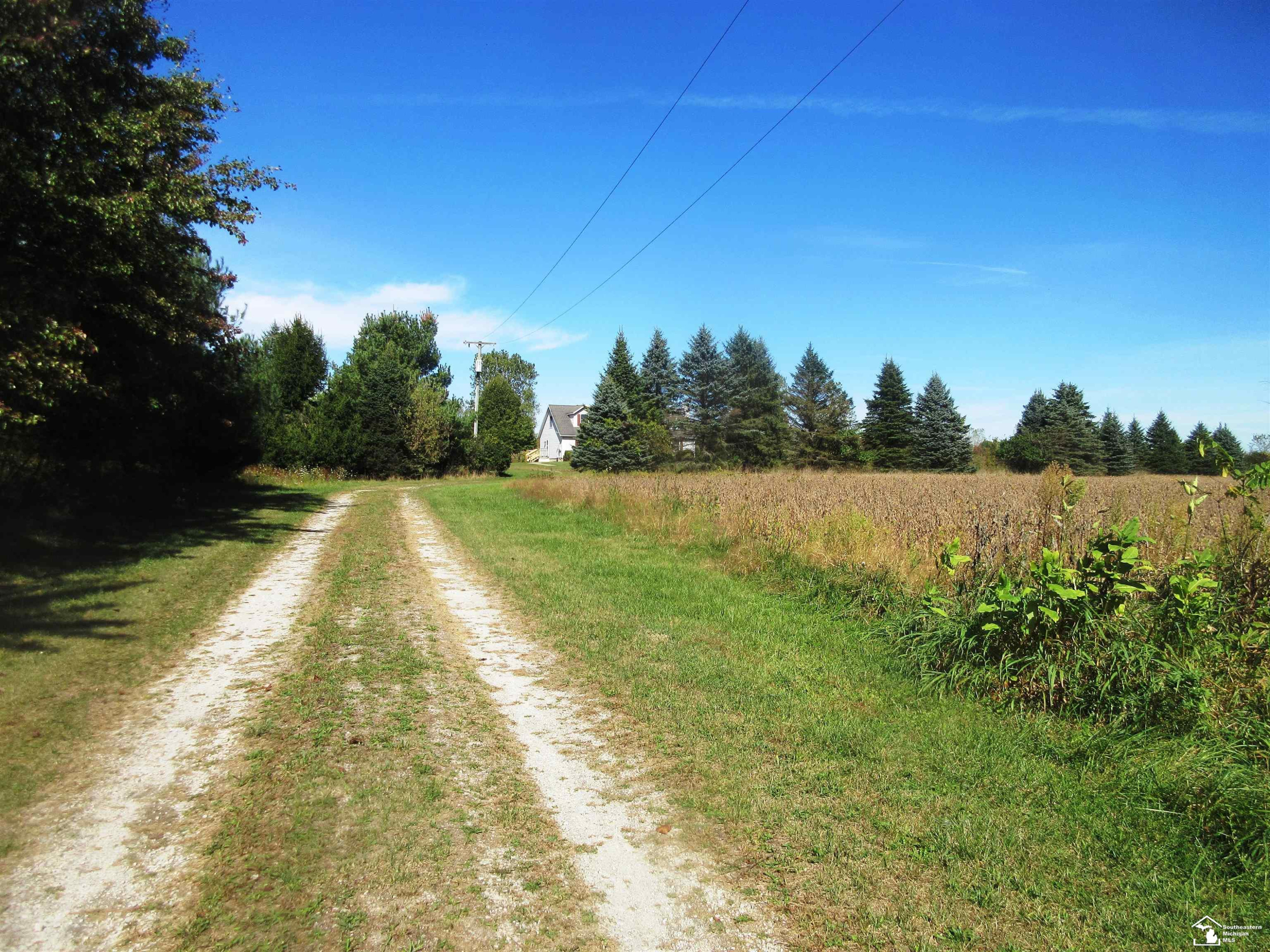 13828 Allen Rd Road, Clinton, MI 49236 — Photo 2
