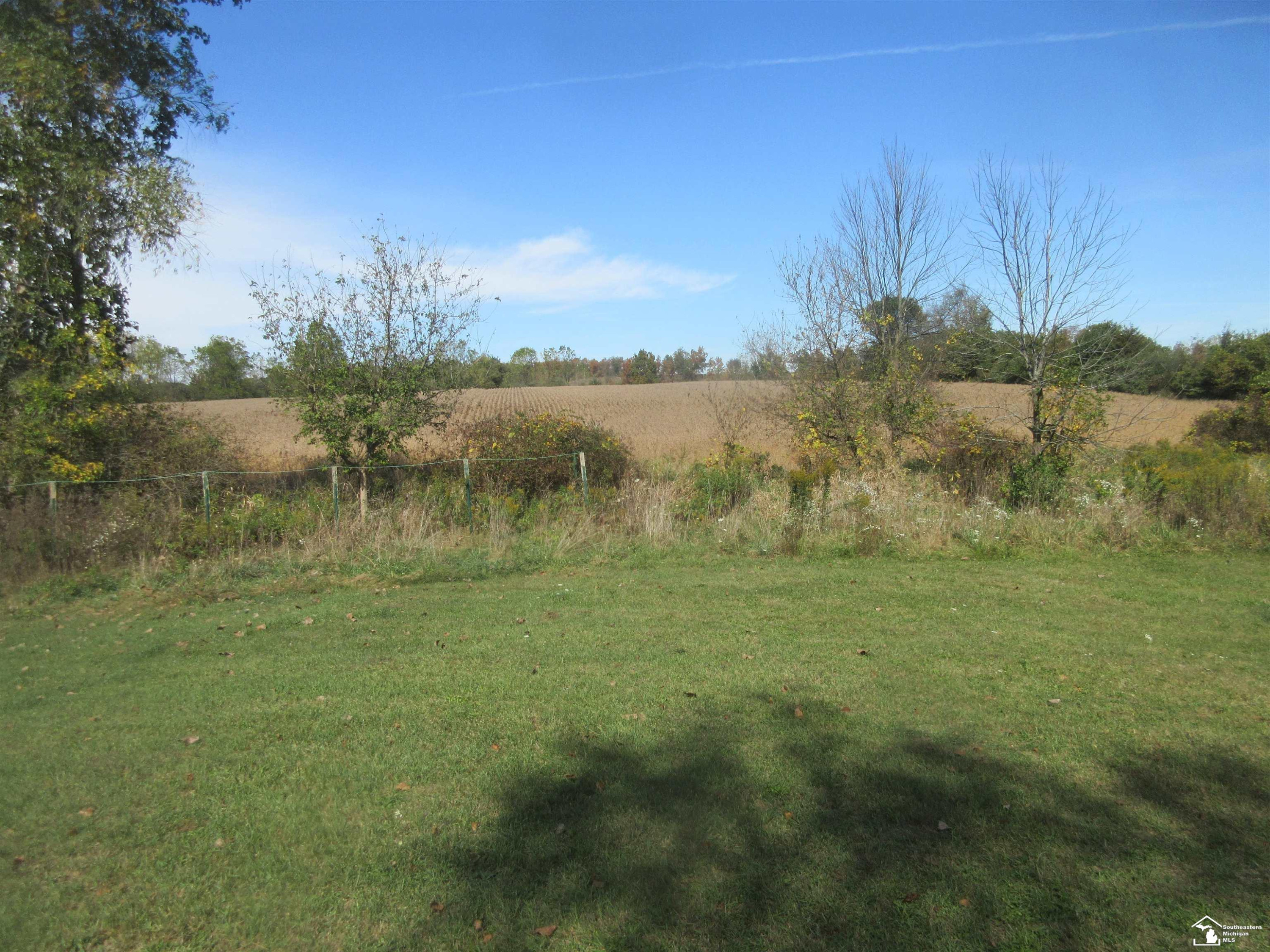 13828 Allen Rd Road, Clinton, MI 49236 — Photo 6