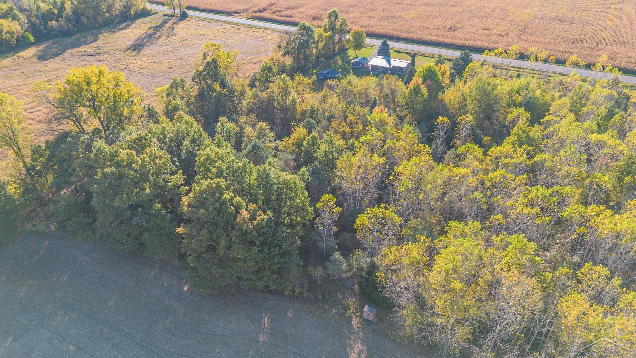 13245 Gasper Road, Chesaning, MI 48616 — Photo 25