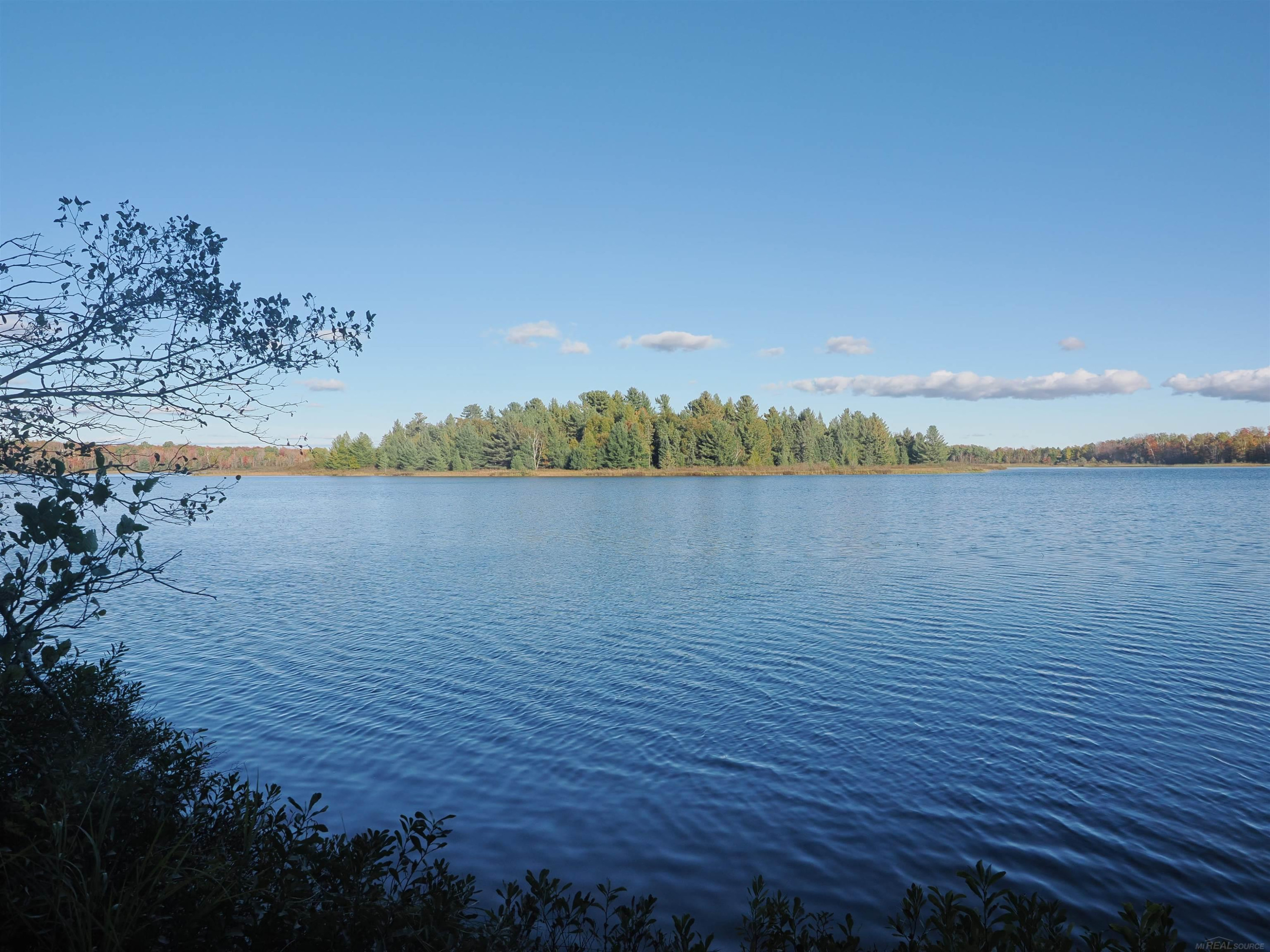 XXX W Birch Shores Drive, Trout Lake, MI 49793 — Photo 2