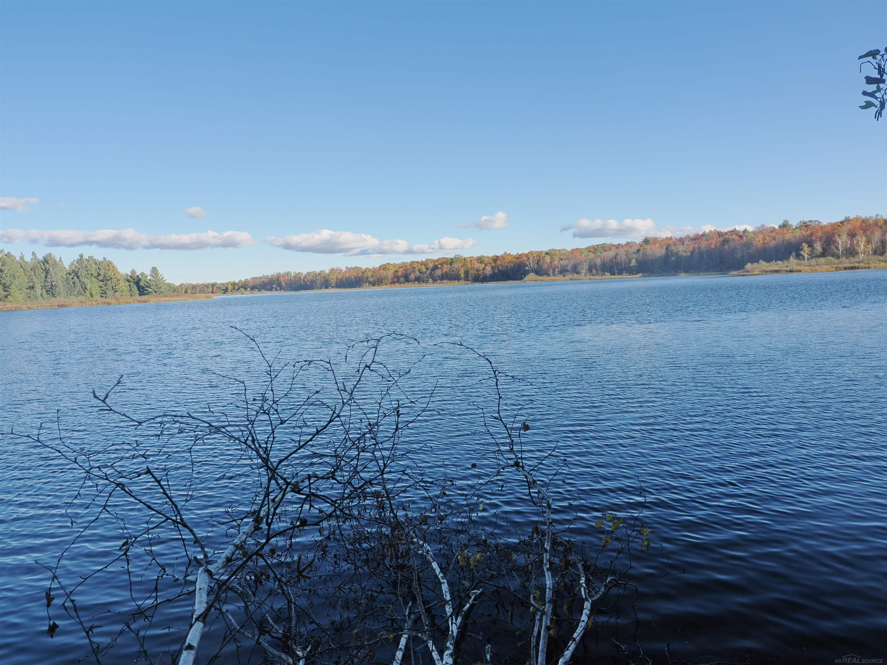 XXX W Birch Shores Drive, Trout Lake, MI 49793 — Photo 3