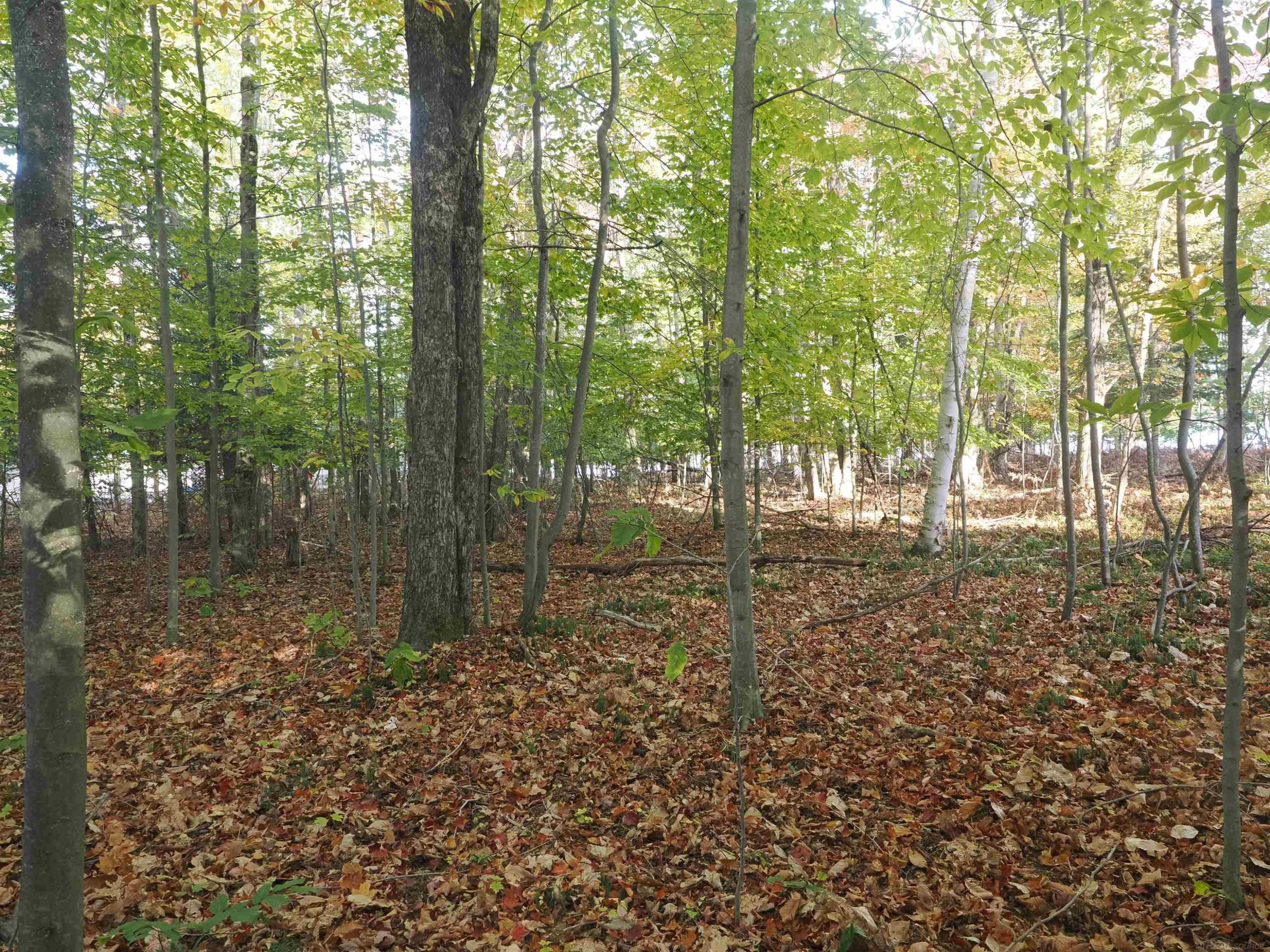 XXX W Birch Shores Drive, Trout Lake, MI 49793 — Photo 9