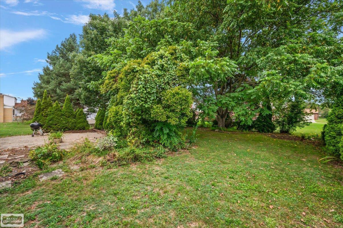 43984 Arlington Road, MI 48187 — Photo 10
