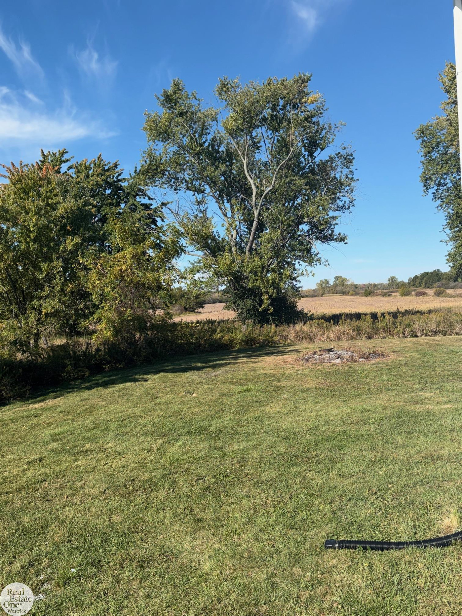 7742 River Road, MI — Photo 22