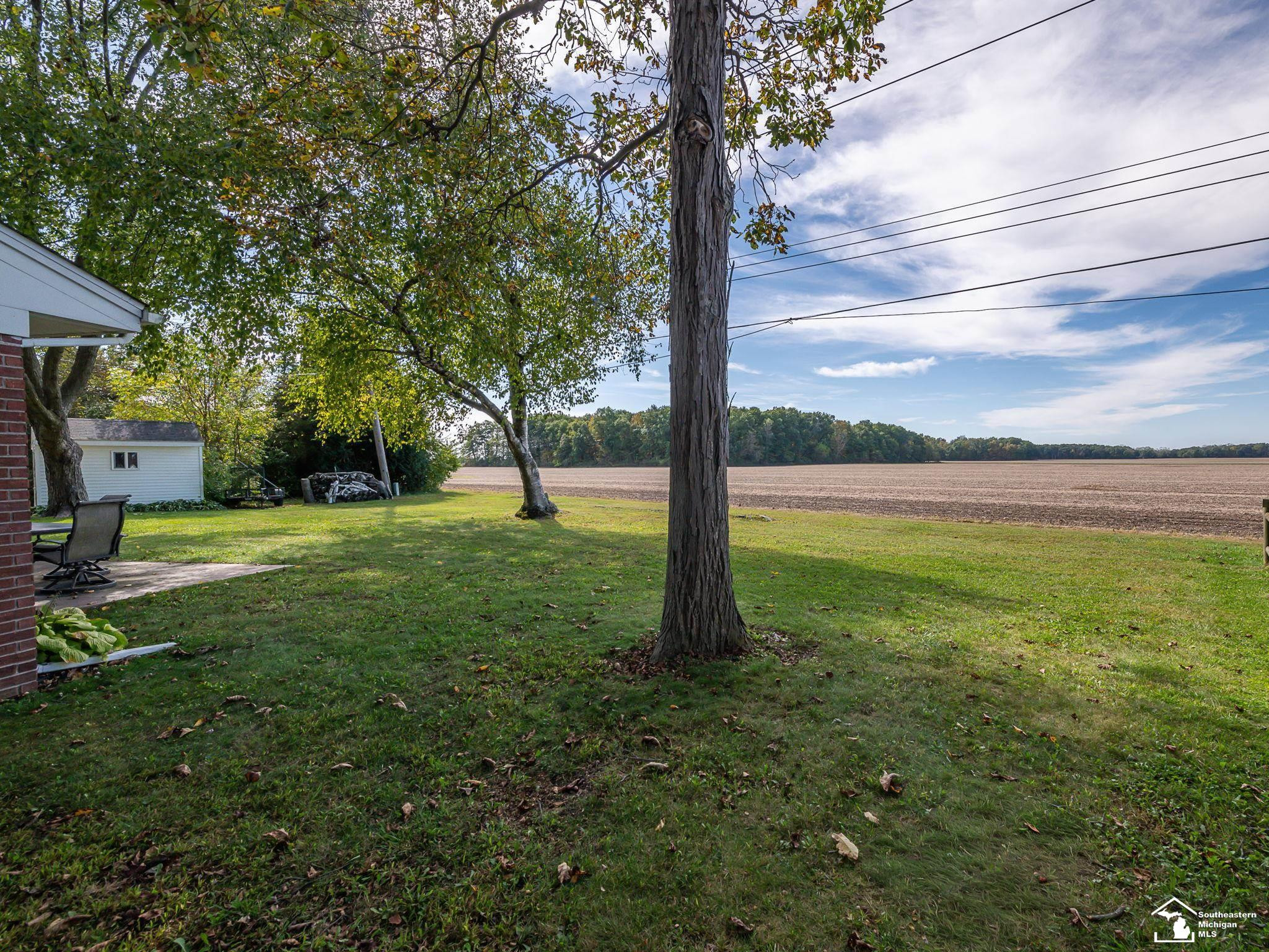 3204 Southwood Street, Ida, MI 48140 — Photo 36