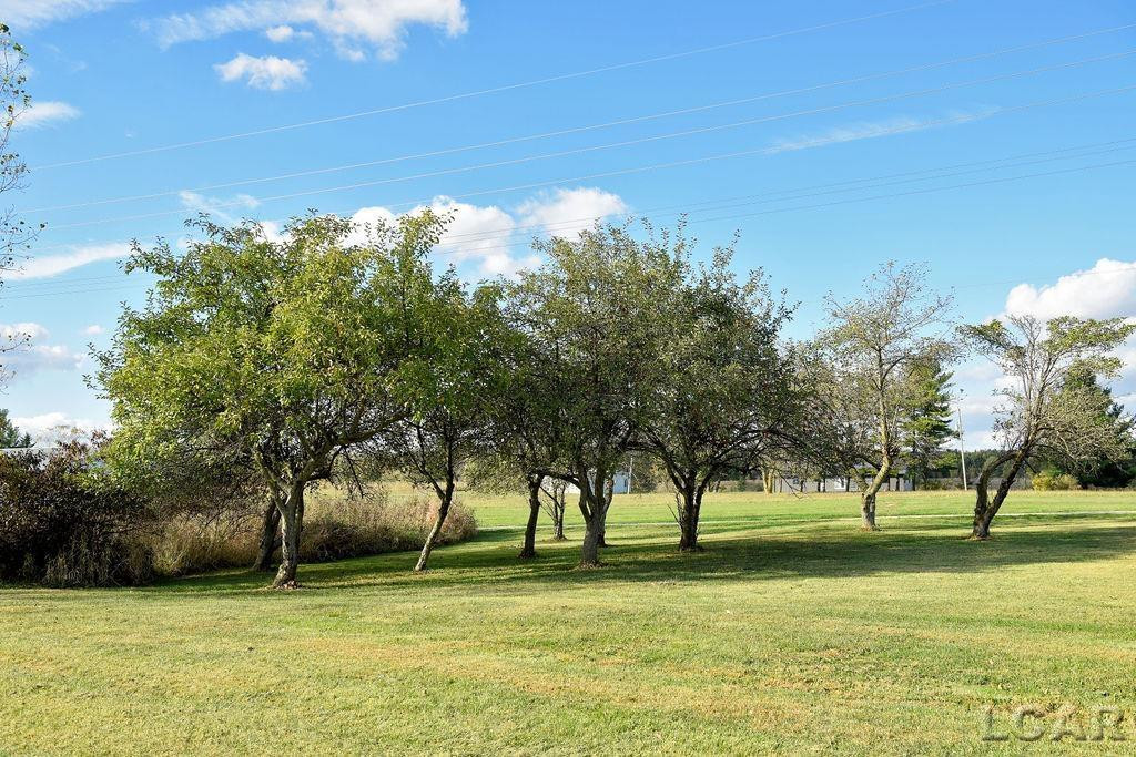 4182 Whaley Highway, Clayton, MI 49235 — Photo 14