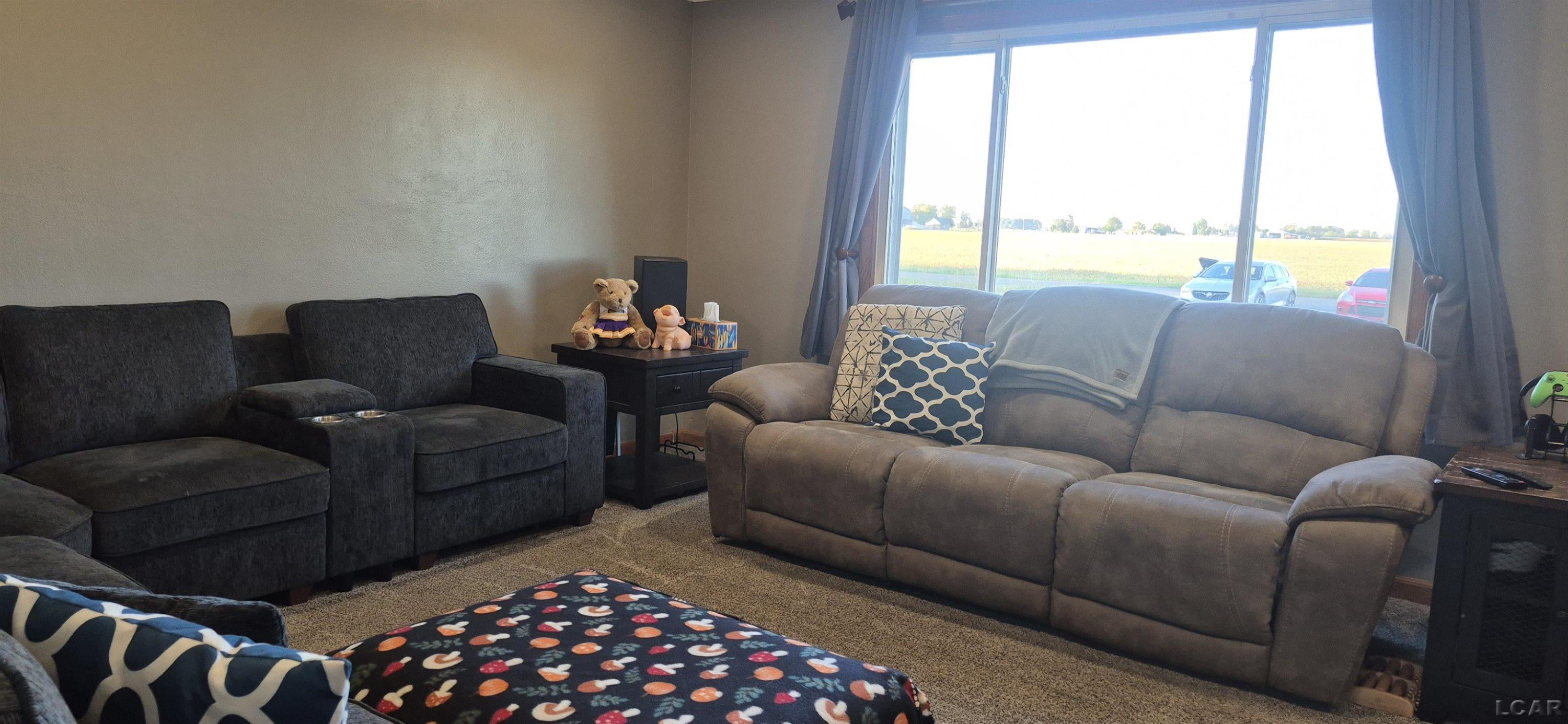 9213 E Mulberry Road, Blissfield, MI 49228 — Photo 2