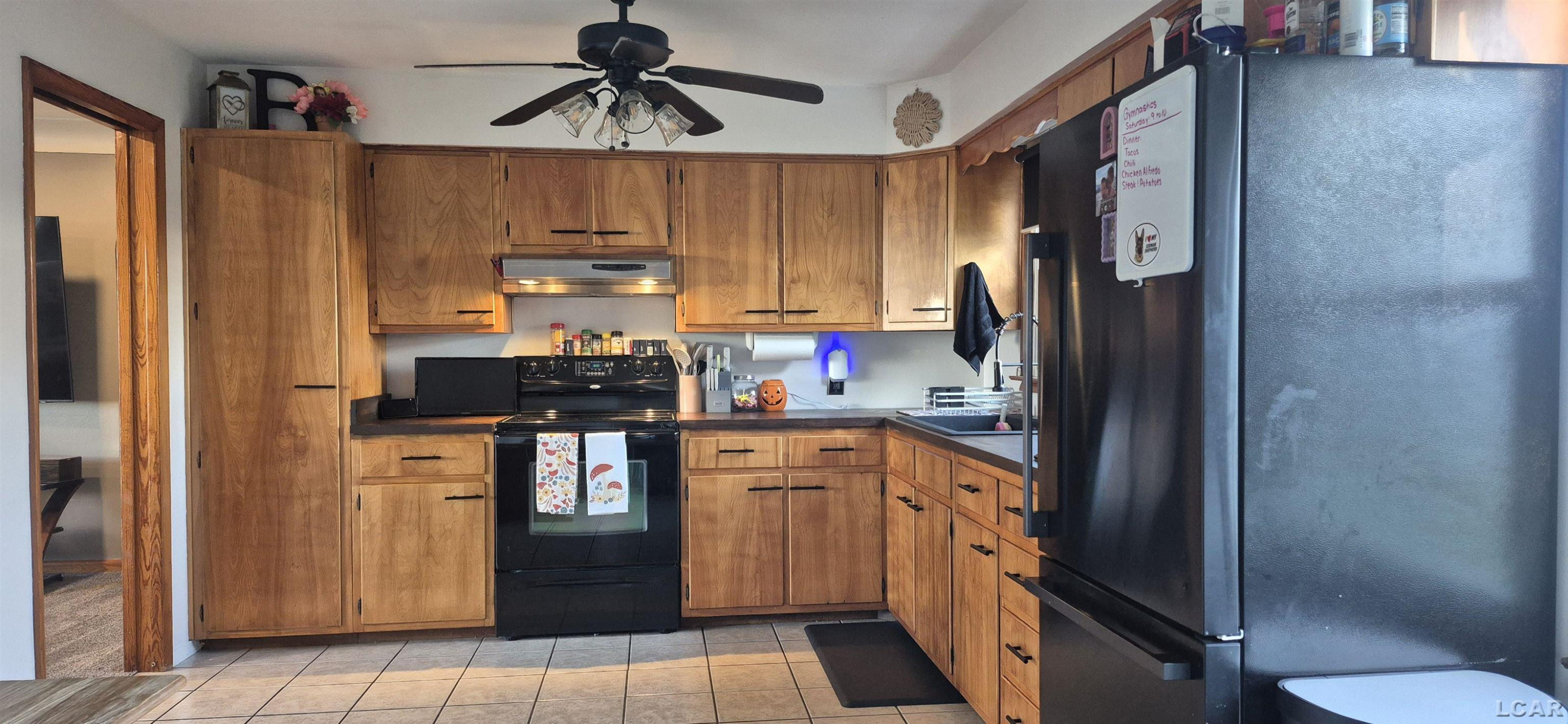 9213 E Mulberry Road, Blissfield, MI 49228 — Photo 4