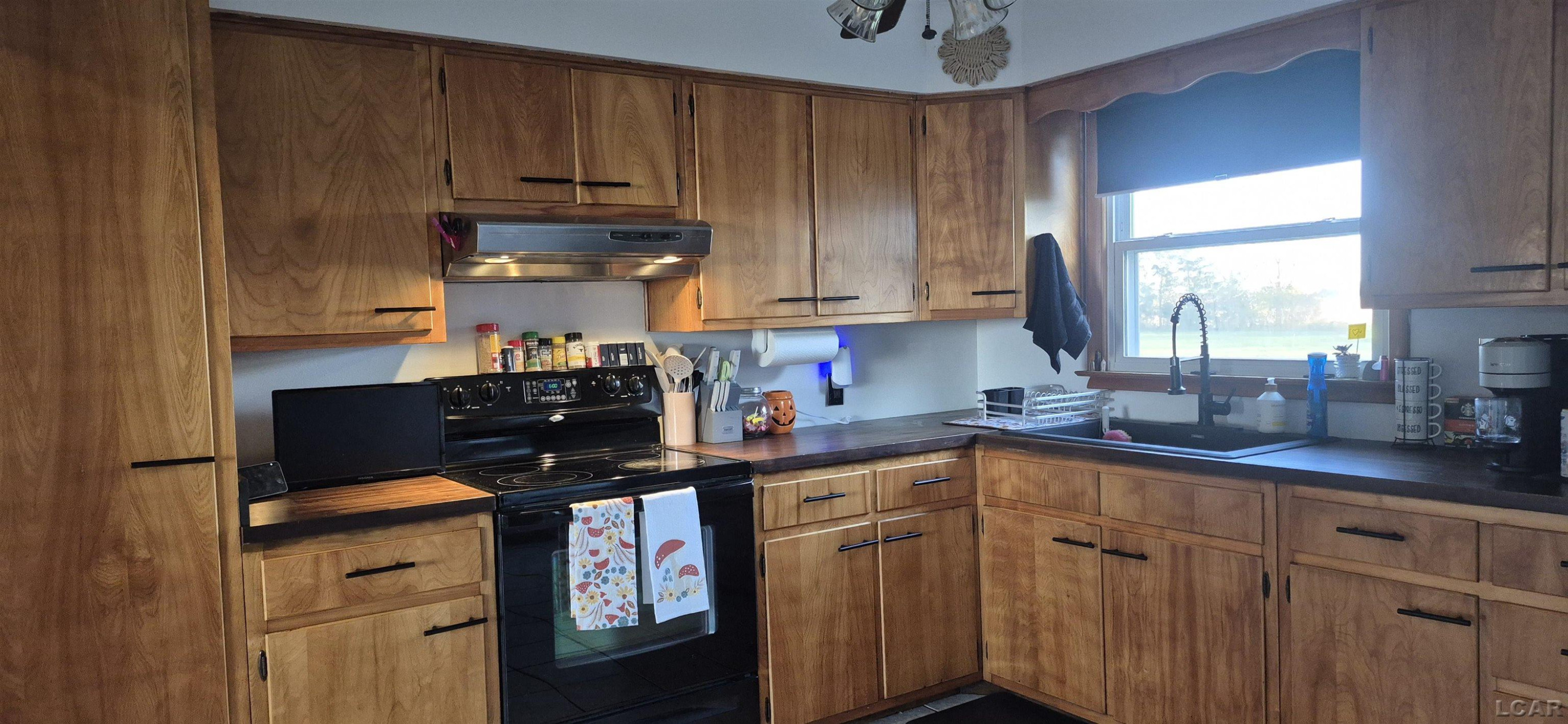 9213 E Mulberry Road, Blissfield, MI 49228 — Photo 5
