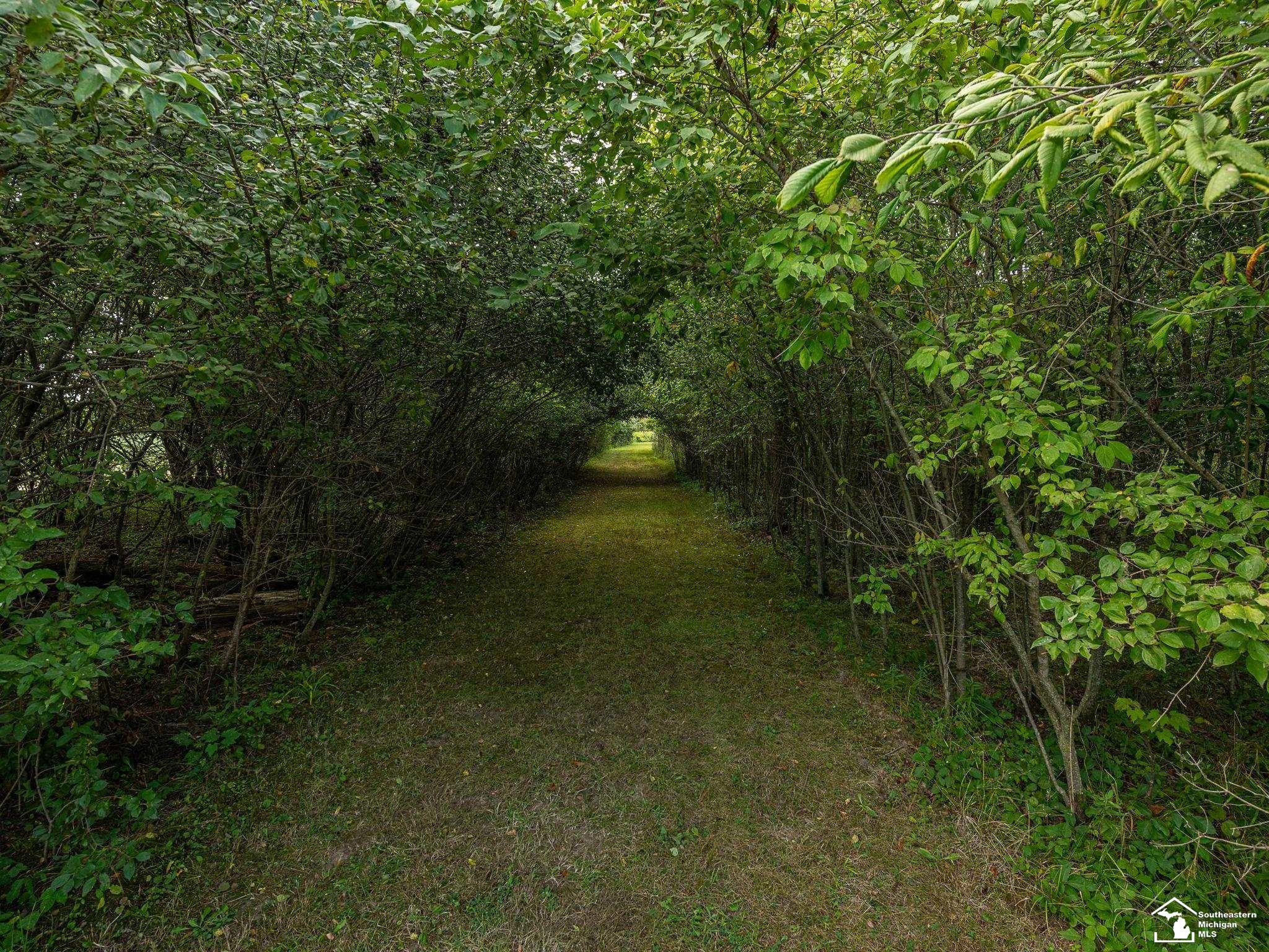 4992 Post Road, Newport, MI 48166 — Photo 73