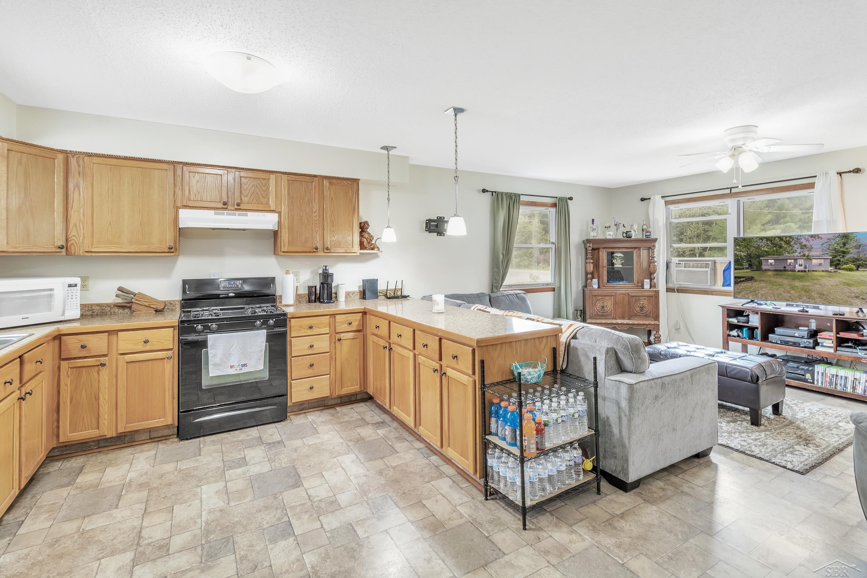 991 N Coleman Road, Shepherd, MI 48883 — Photo 4