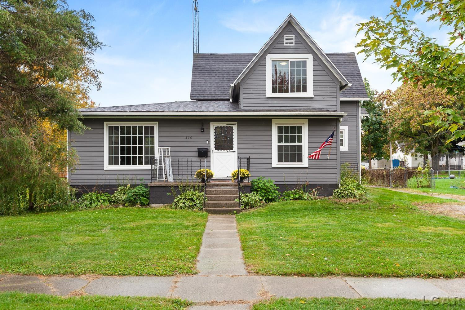 230 Gasner Street, Blissfield, MI 49228 — front exterior