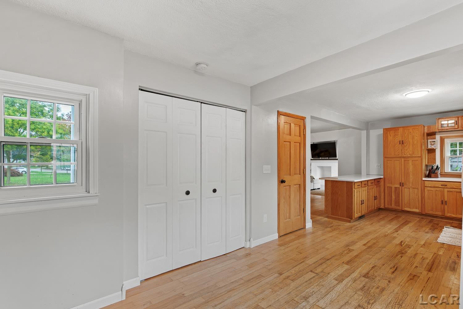 230 Gasner Street, Blissfield, MI 49228 — Photo 23