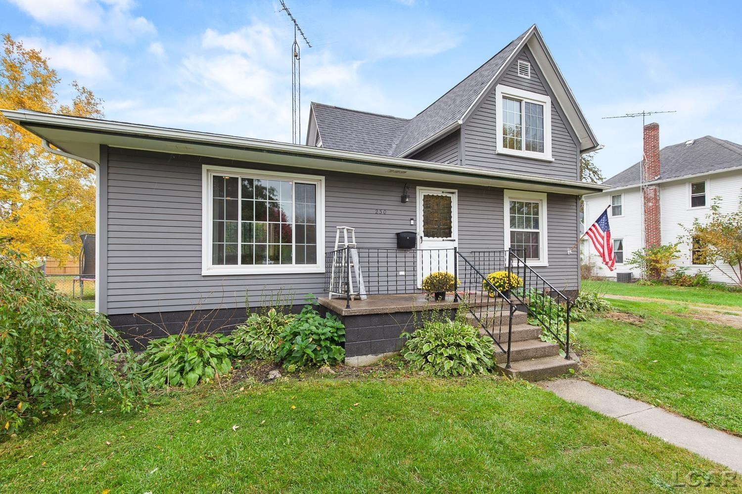 230 Gasner Street, Blissfield, MI 49228 — Photo 34