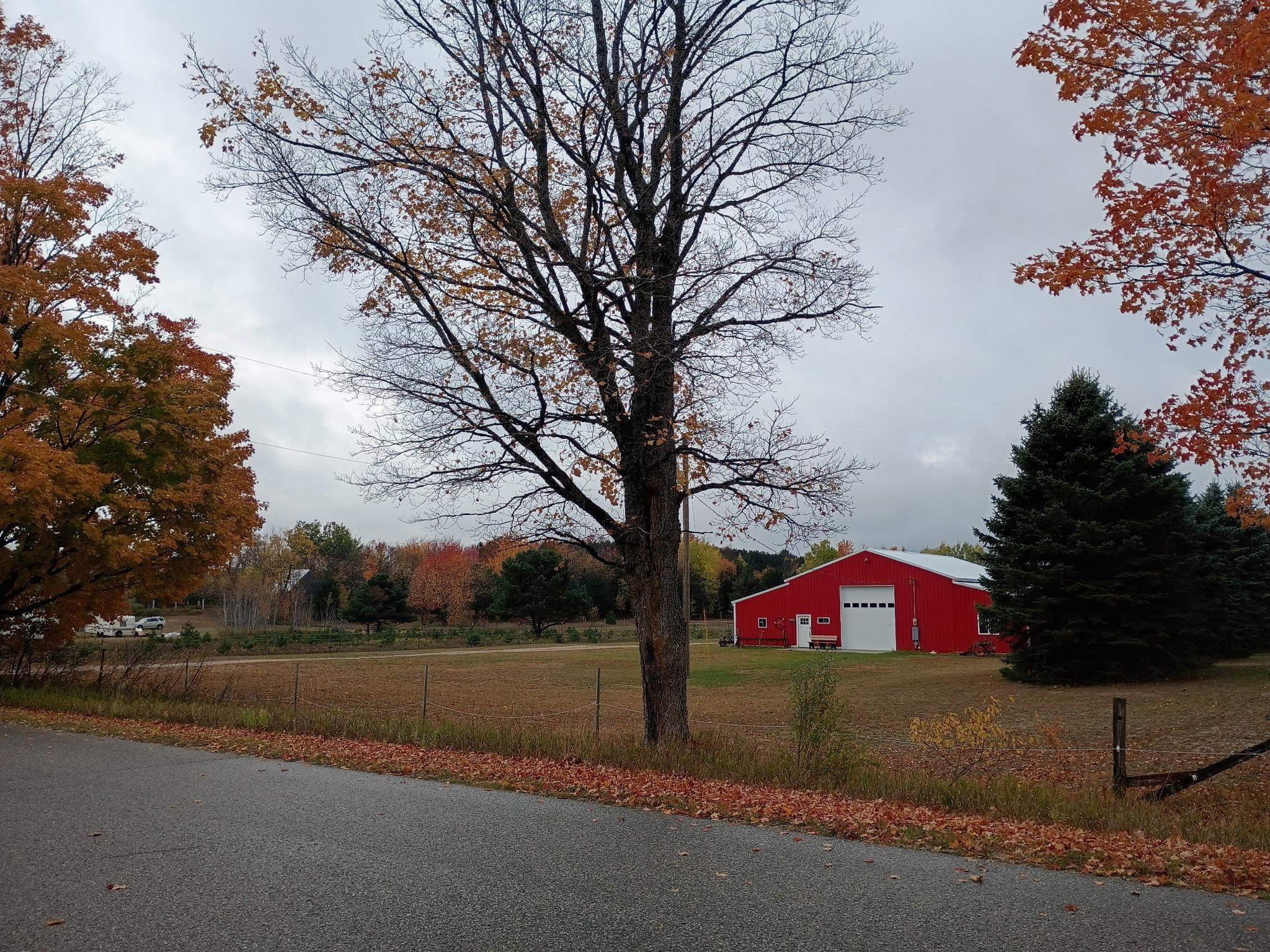 6154 Satterly Lake Road, Mancelona, MI 49659 — Photo 24