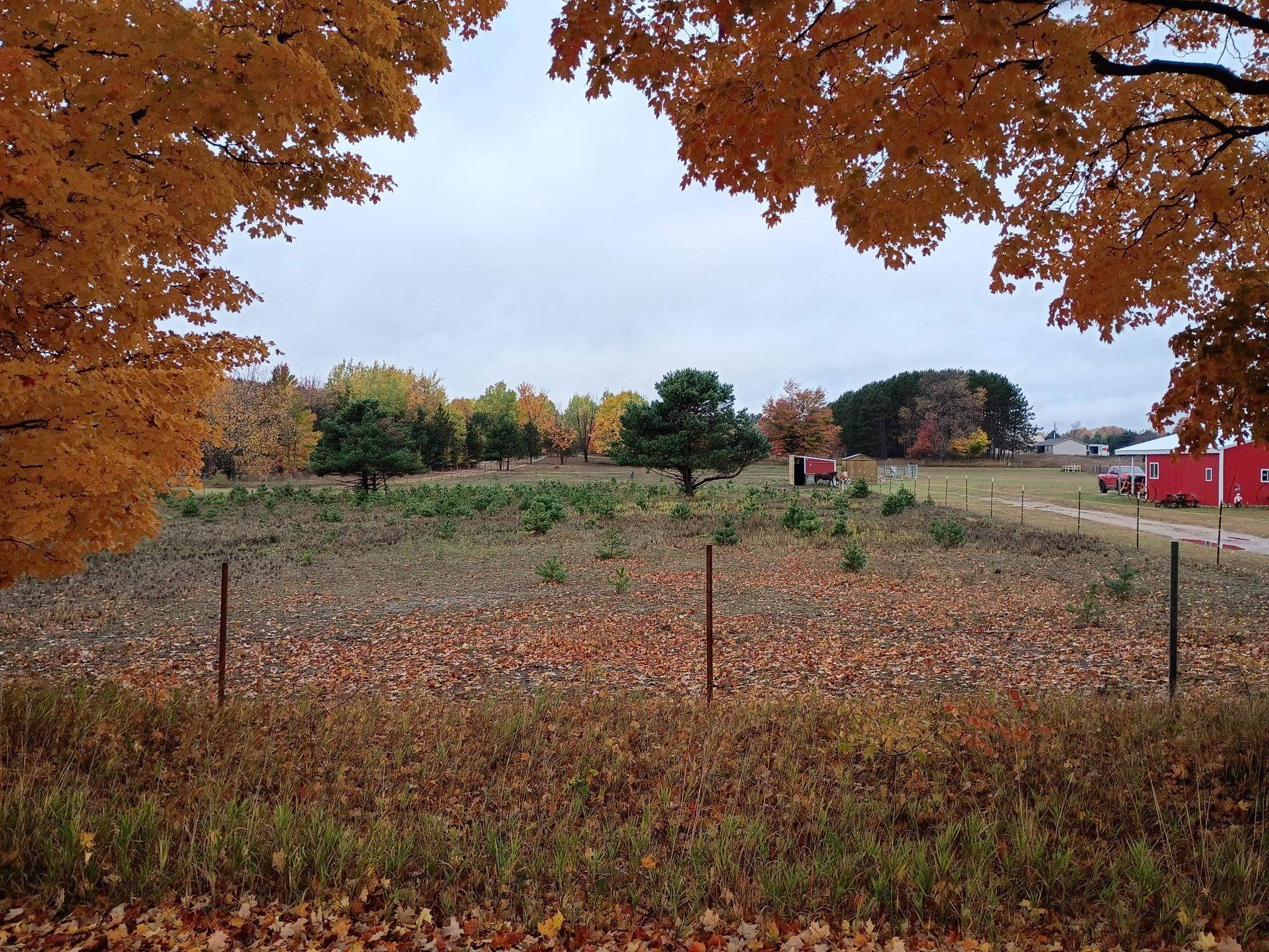6154 Satterly Lake Road, Mancelona, MI 49659 — Photo 26
