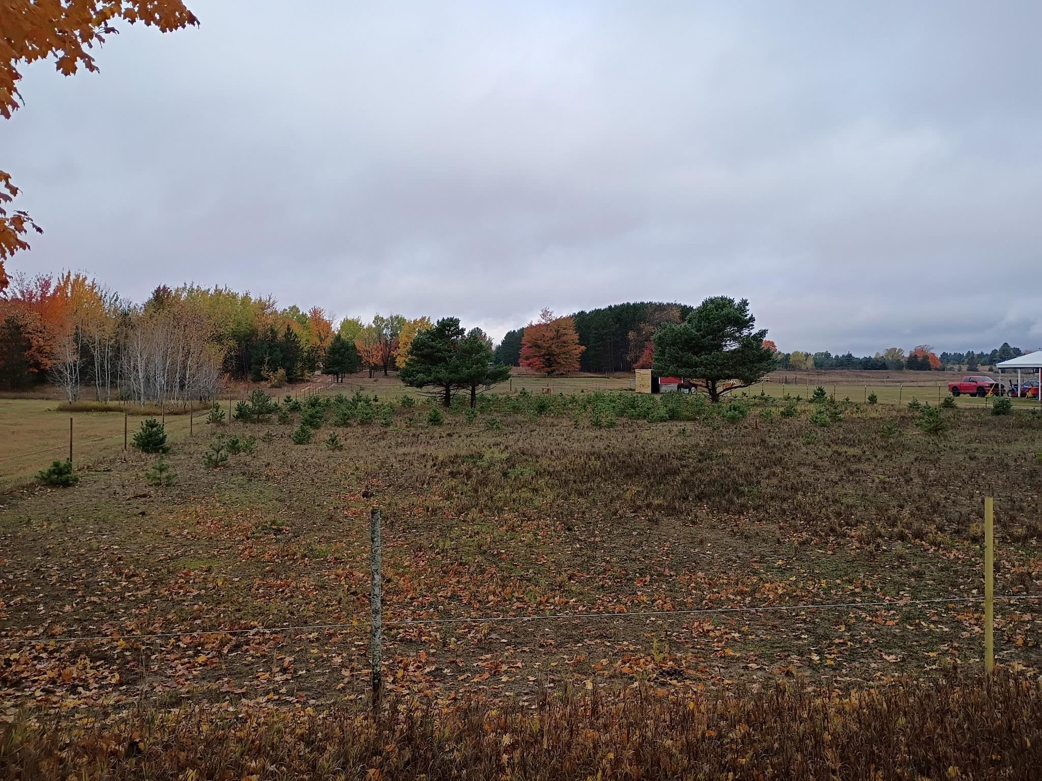 6154 Satterly Lake Road, Mancelona, MI 49659 — Photo 27