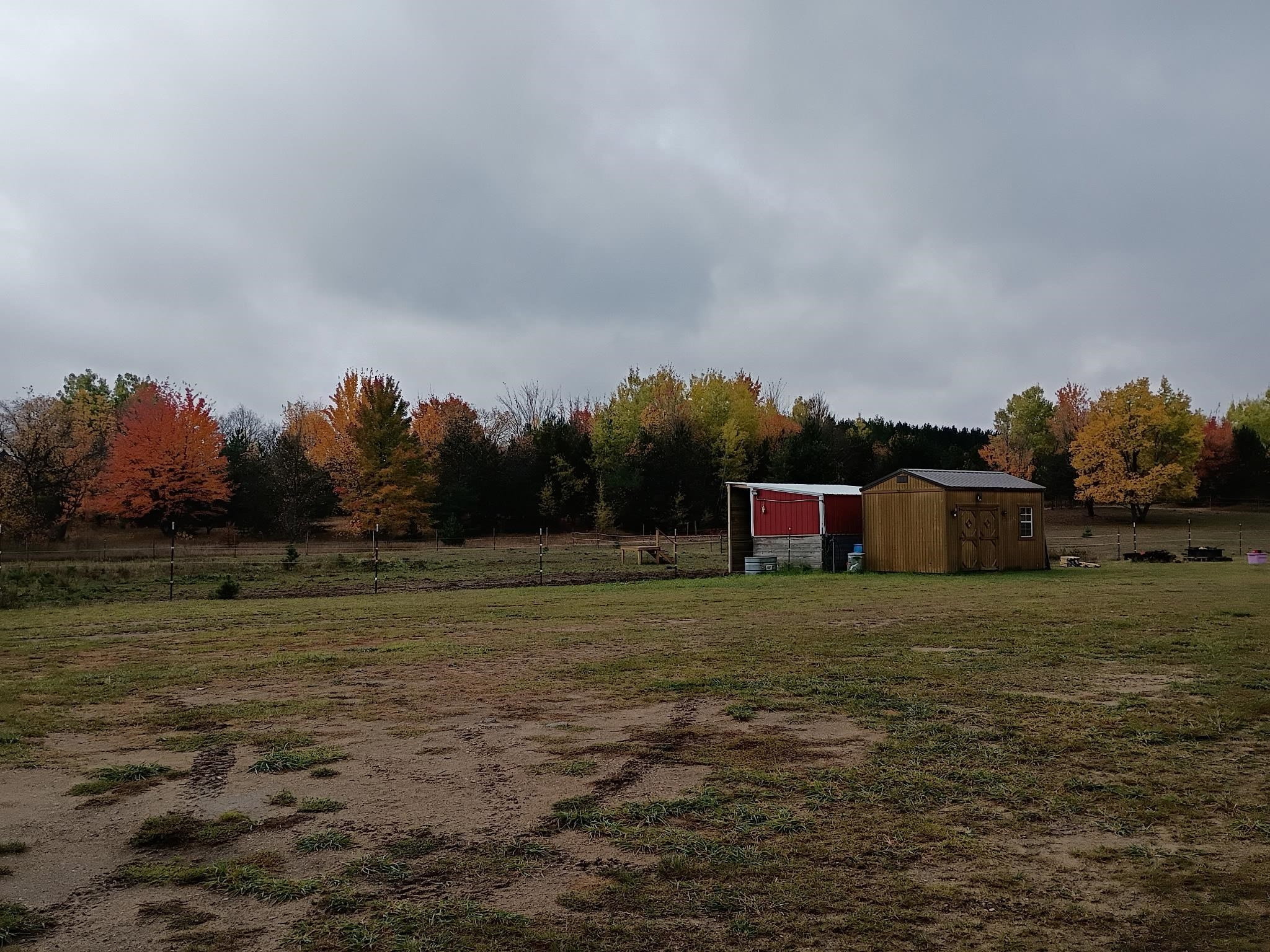 6154 Satterly Lake Road, Mancelona, MI 49659 — Photo 28