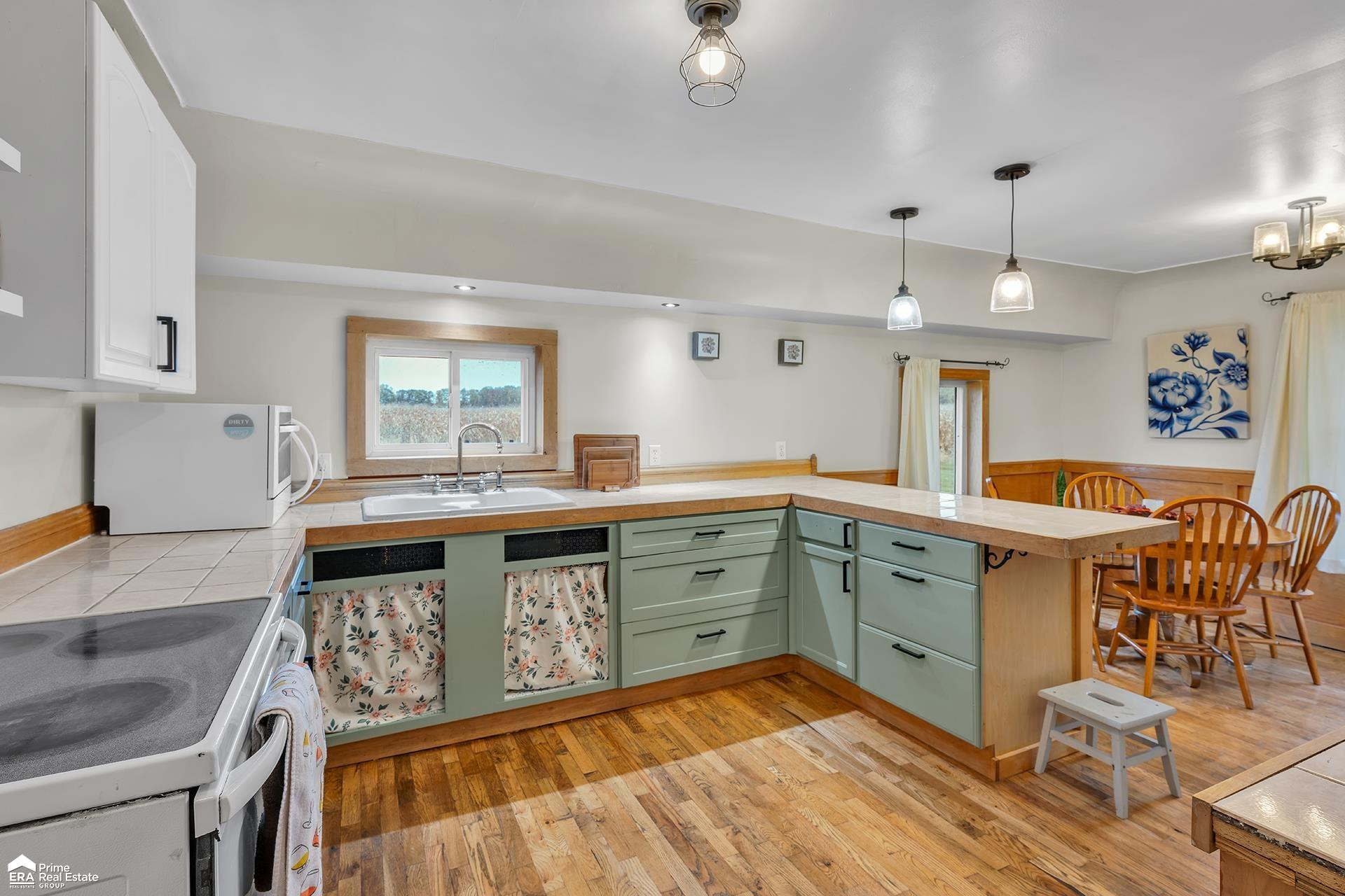 3271 E Beard Road, Morrice, MI 48857 — Photo 12