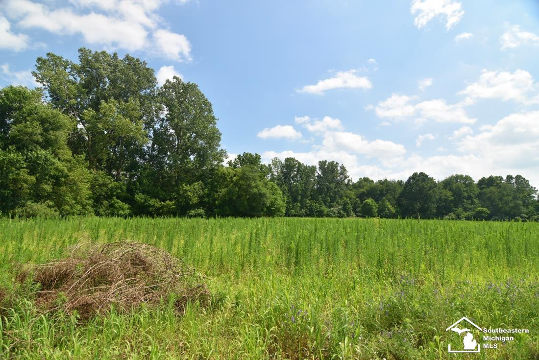 13493 Dixon Road, Dundee, MI 48131 — Photo 9