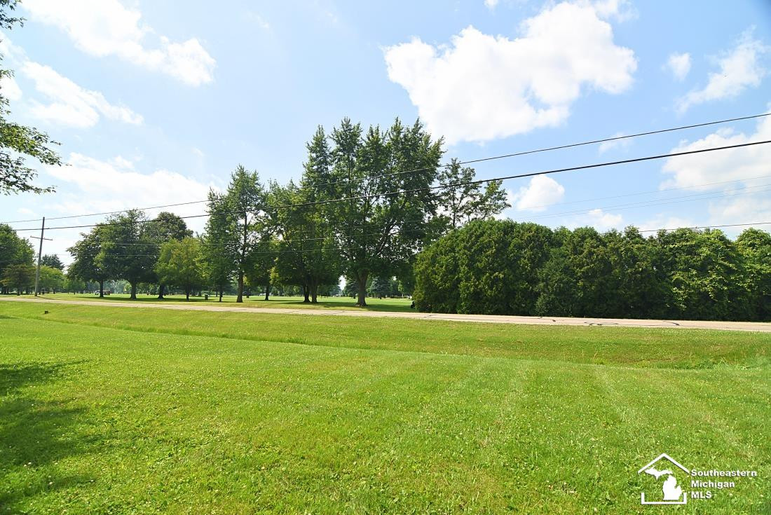13493 Dixon Road, Dundee, MI 48131 — Photo 41