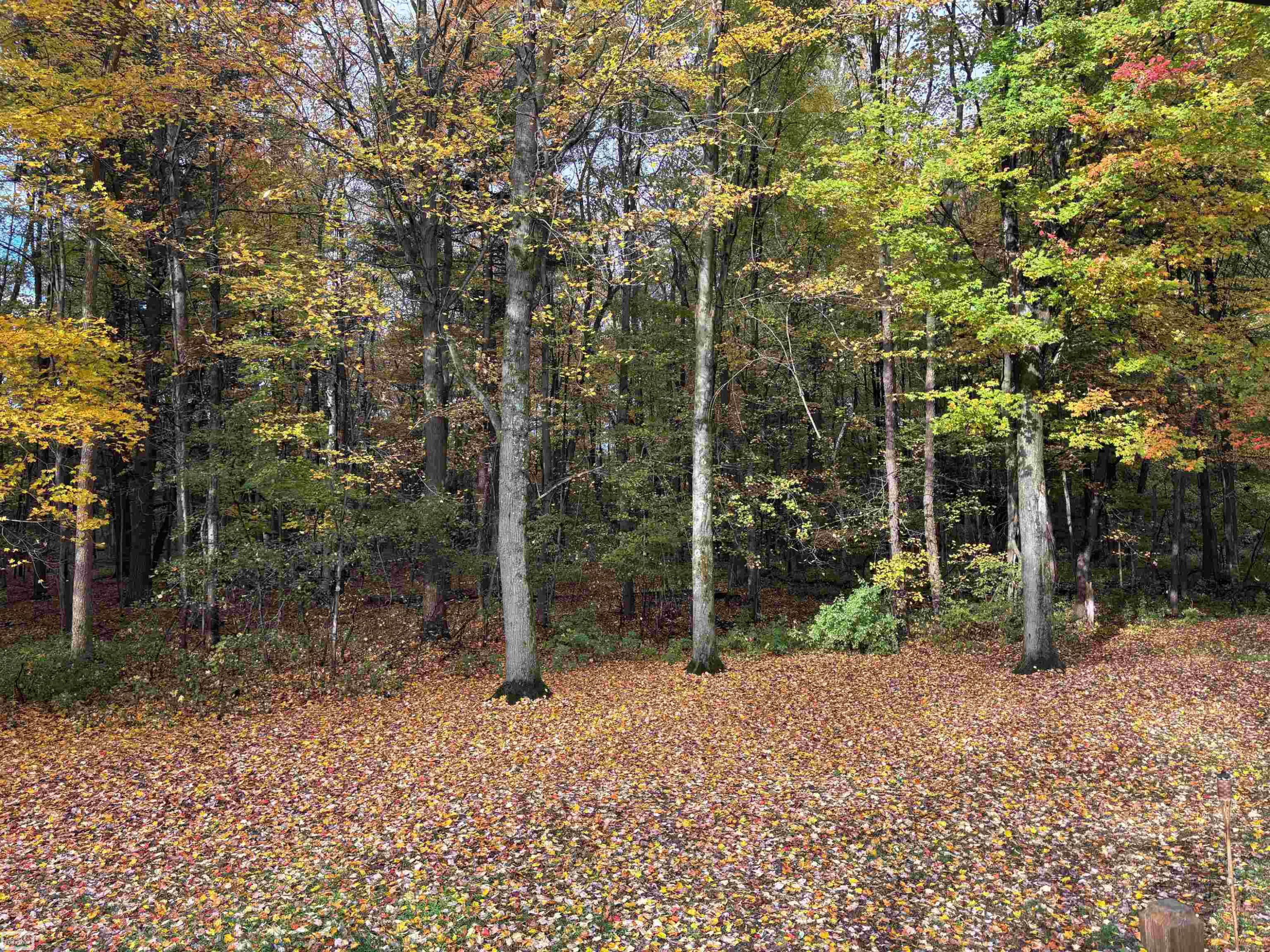 5473 Quain Road, Emmett, MI 48022 — Photo 46