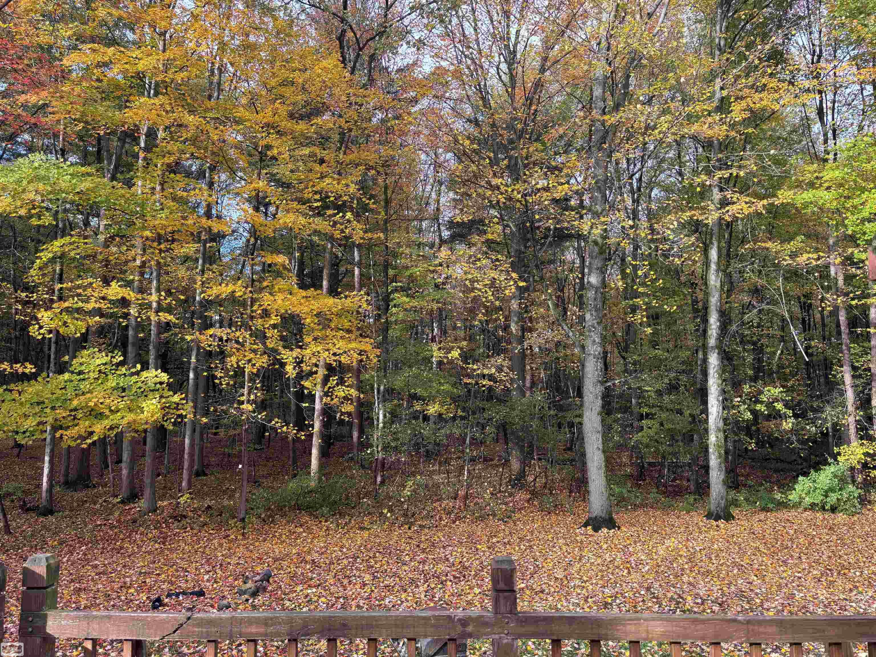 5473 Quain Road, Emmett, MI 48022 — Photo 47