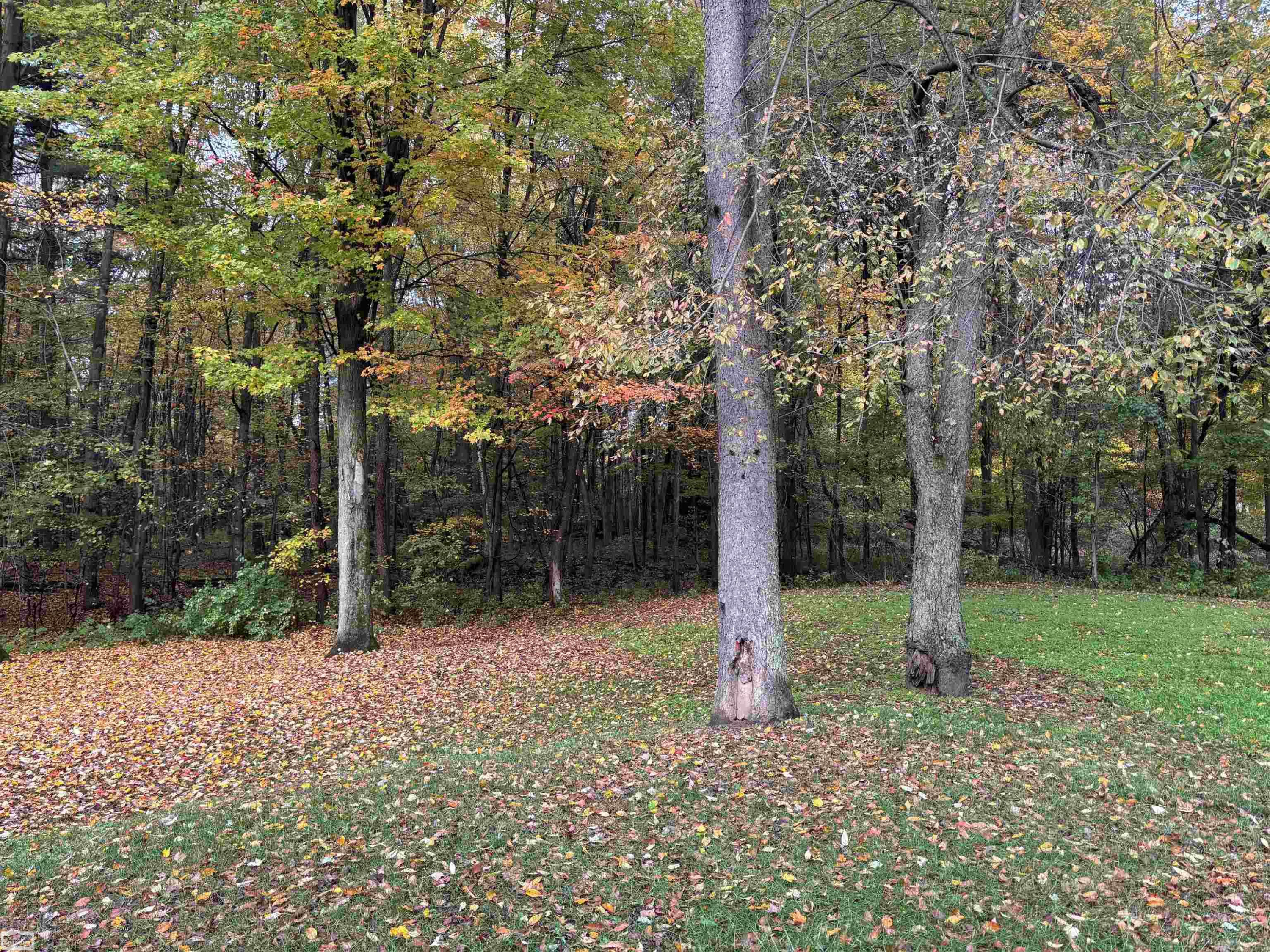 5473 Quain Road, Emmett, MI 48022 — Photo 49
