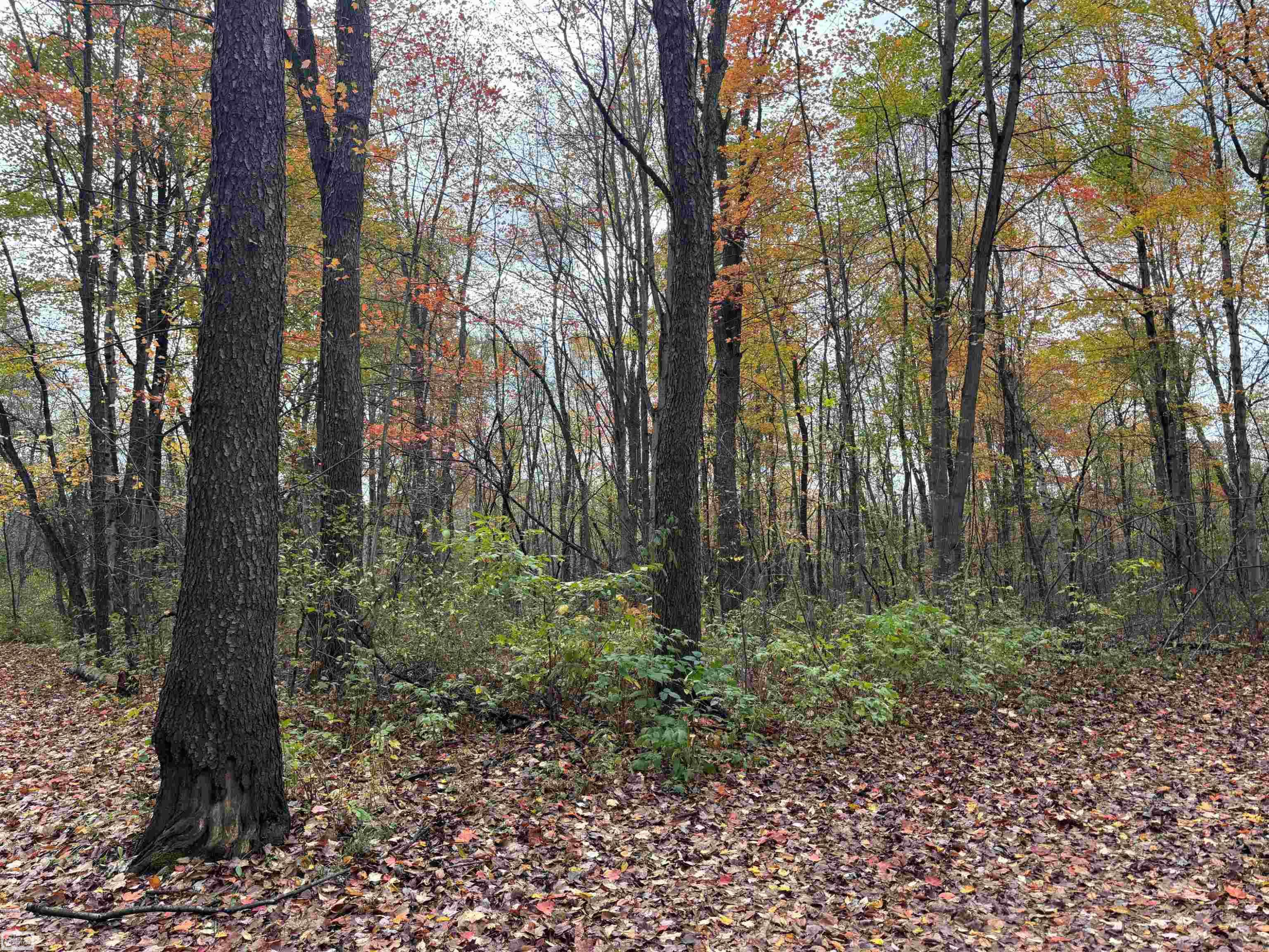 5473 Quain Road, Emmett, MI 48022 — Photo 53