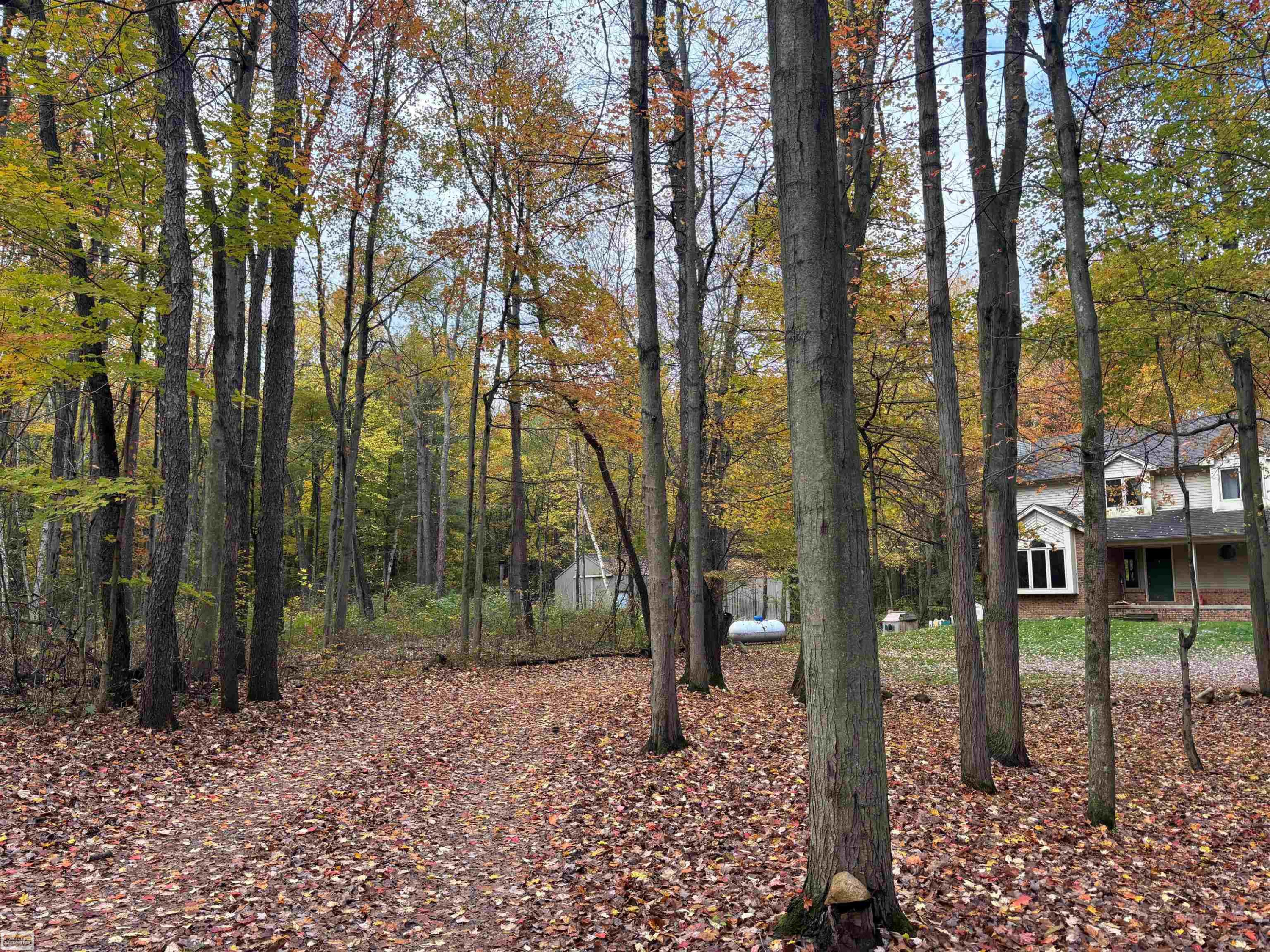 5473 Quain Road, Emmett, MI 48022 — Photo 54