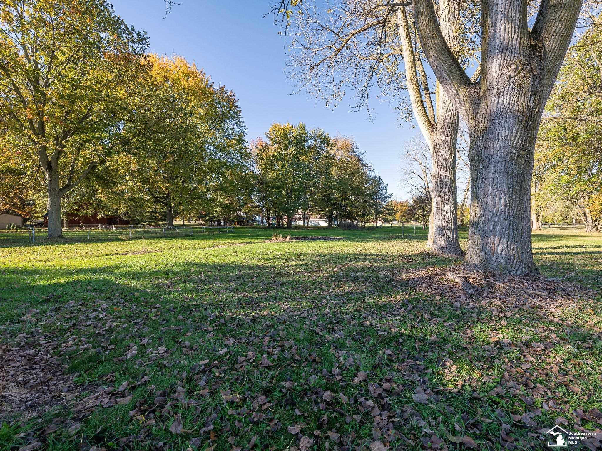 10711 Douglas Road, Temperance, MI 48182 — Photo 41