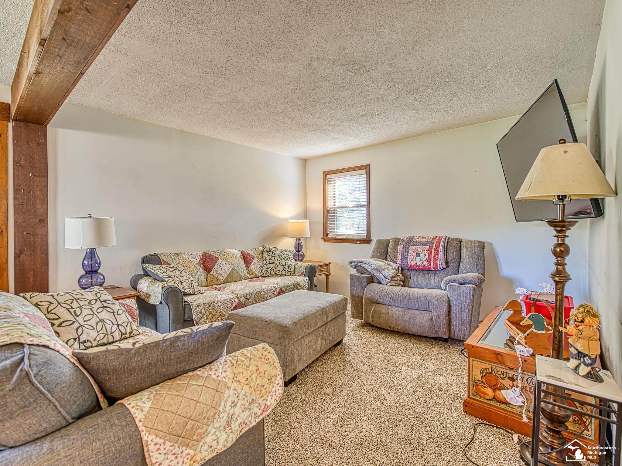 6585 Rouget Road, Palmyra, MI 49268 — Photo 5