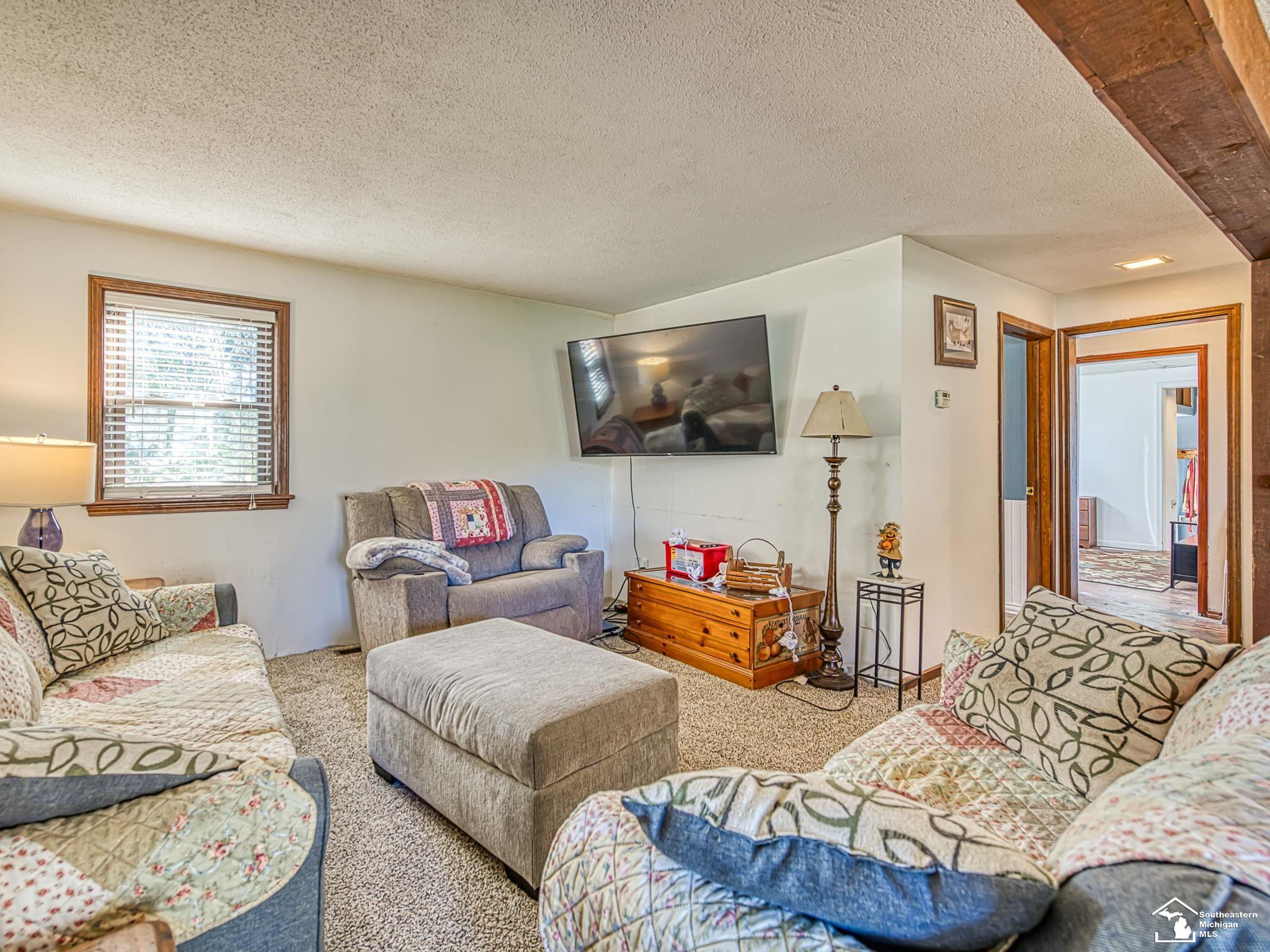 6585 Rouget Road, Palmyra, MI 49268 — Photo 6
