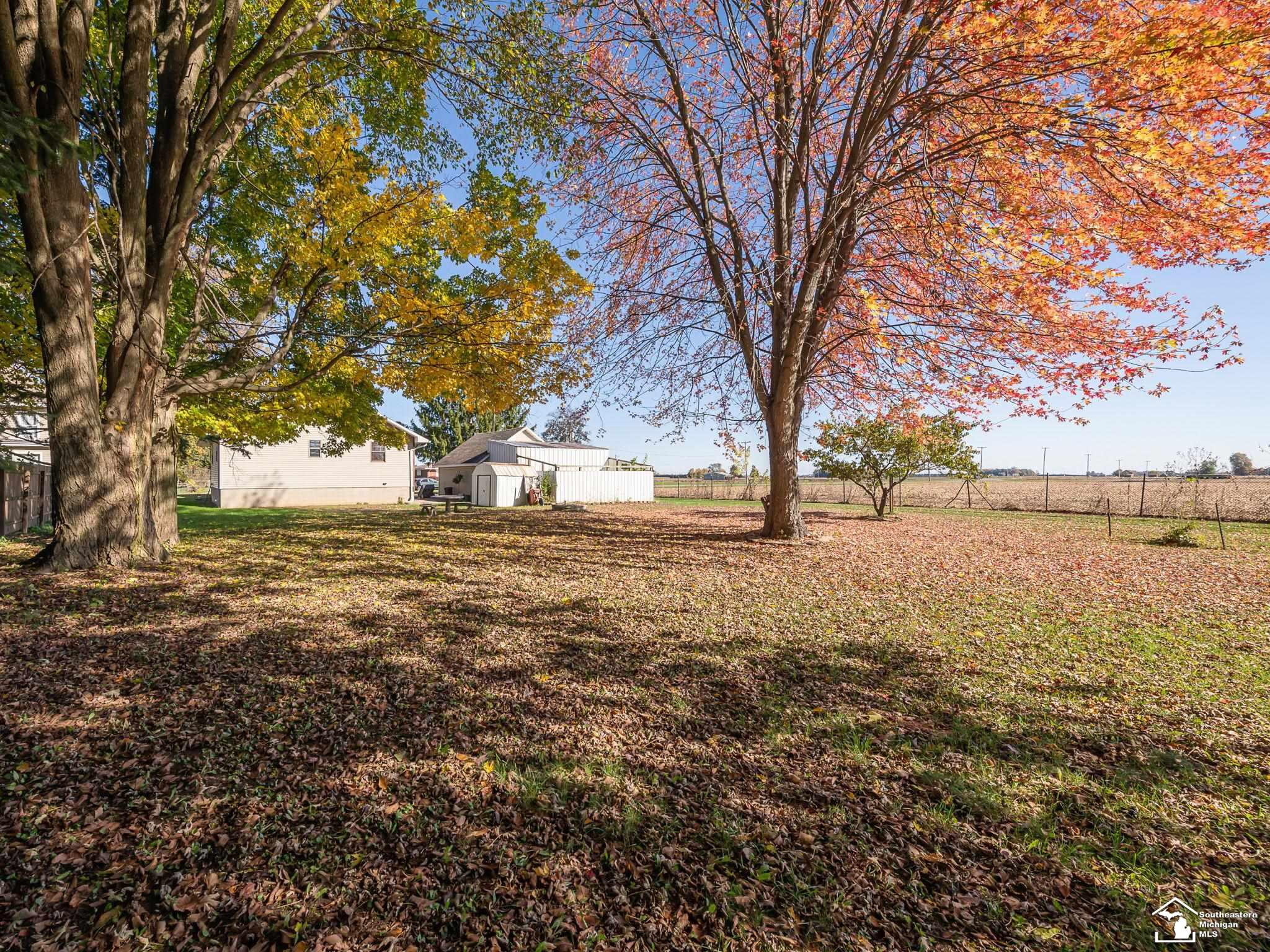6585 Rouget Road, Palmyra, MI 49268 — Photo 30