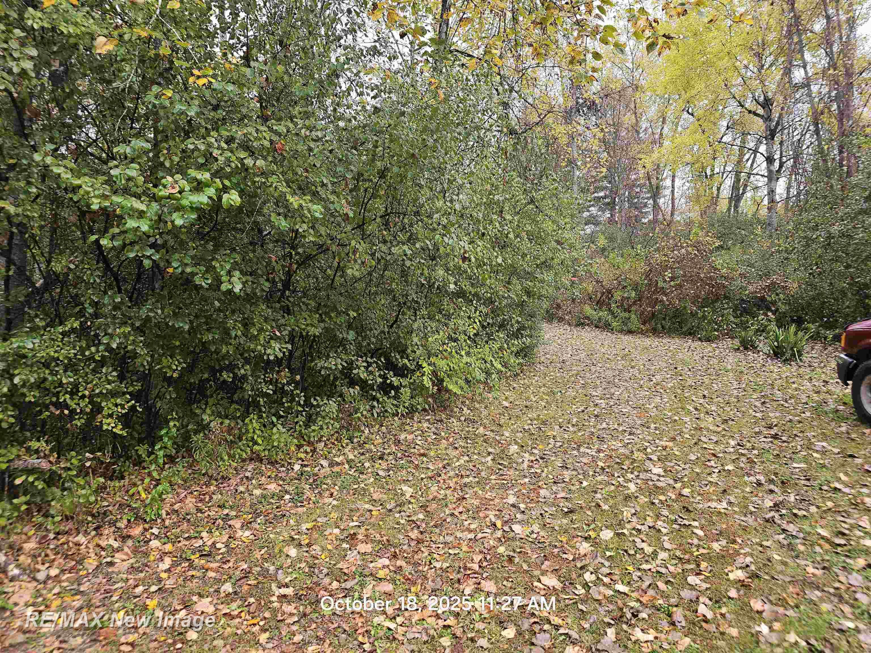 5911 N Water Street, Sanford, MI 48657 — Photo 20