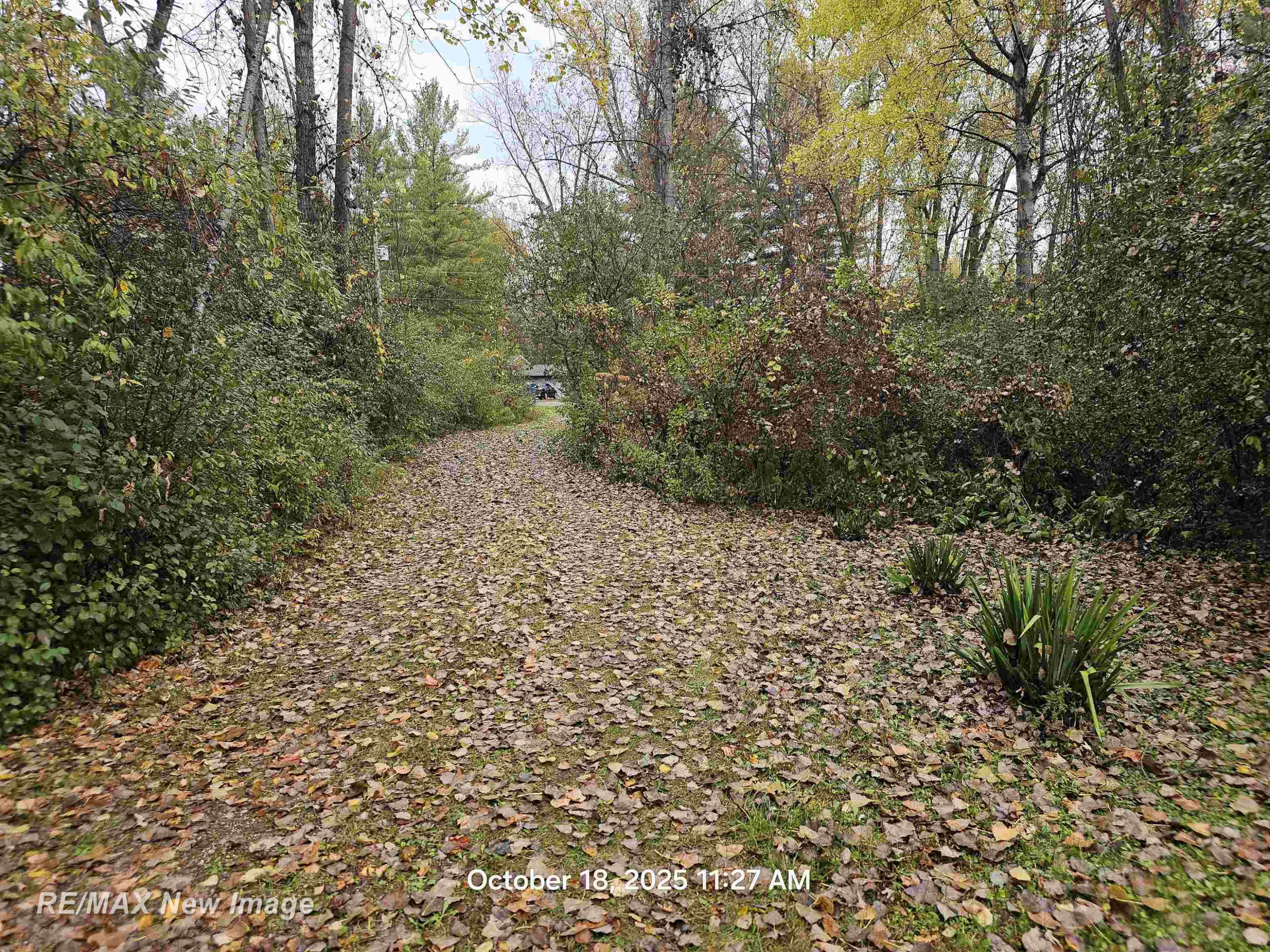 5911 N Water Street, Sanford, MI 48657 — Photo 21