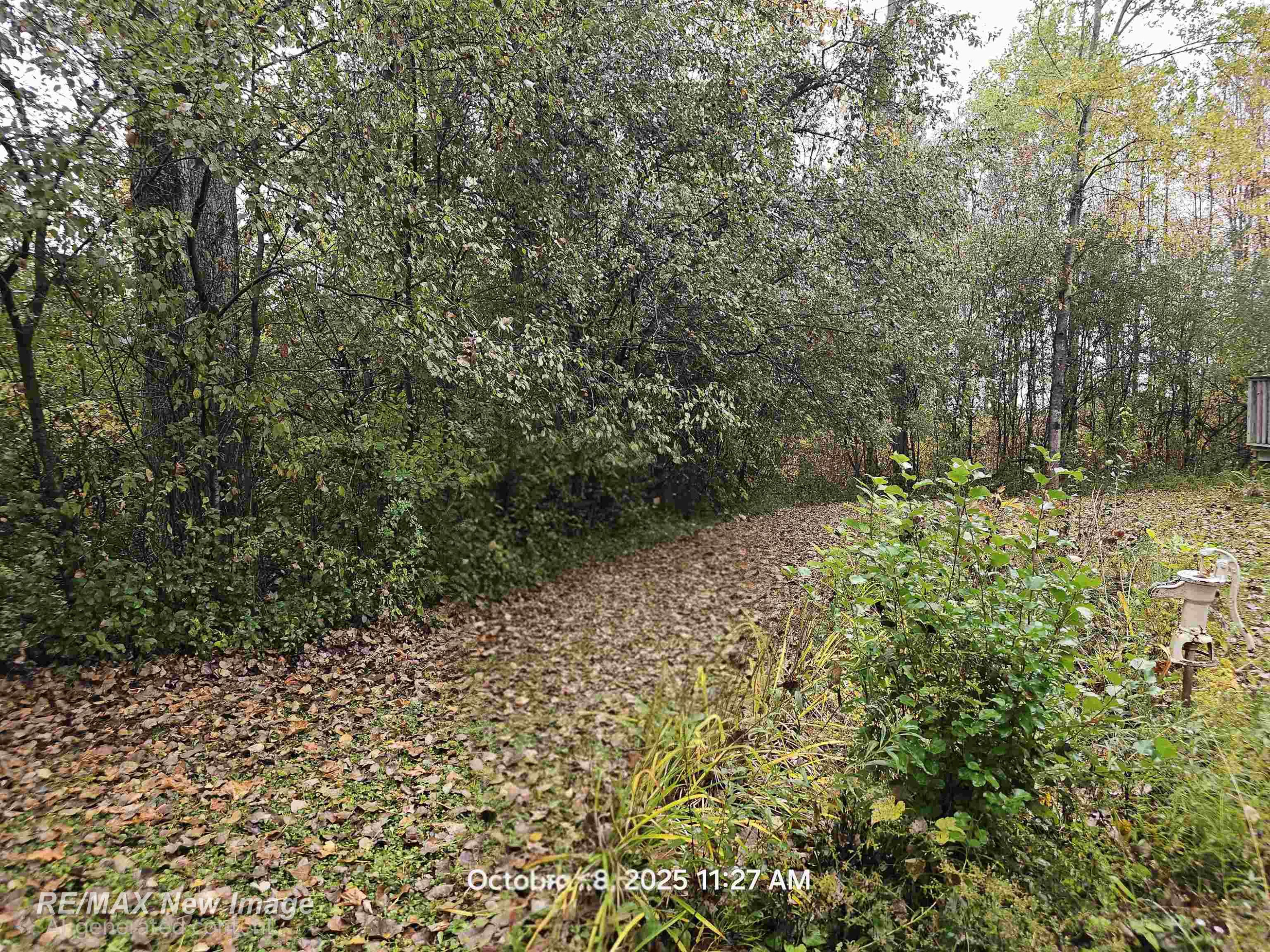 5911 N Water Street, Sanford, MI 48657 — Photo 22