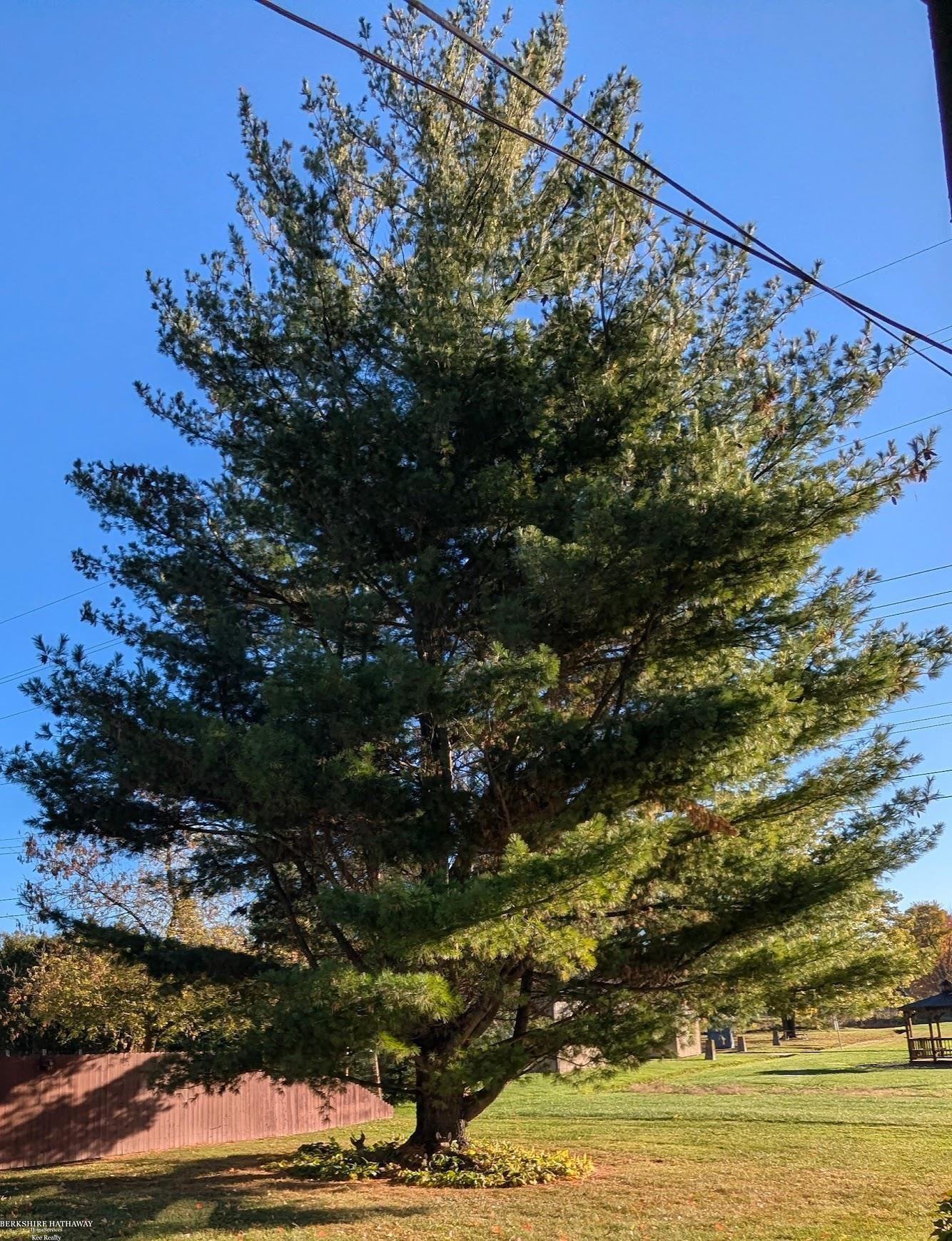 314 N Lester Street, Capac, MI 48014 — Photo 43