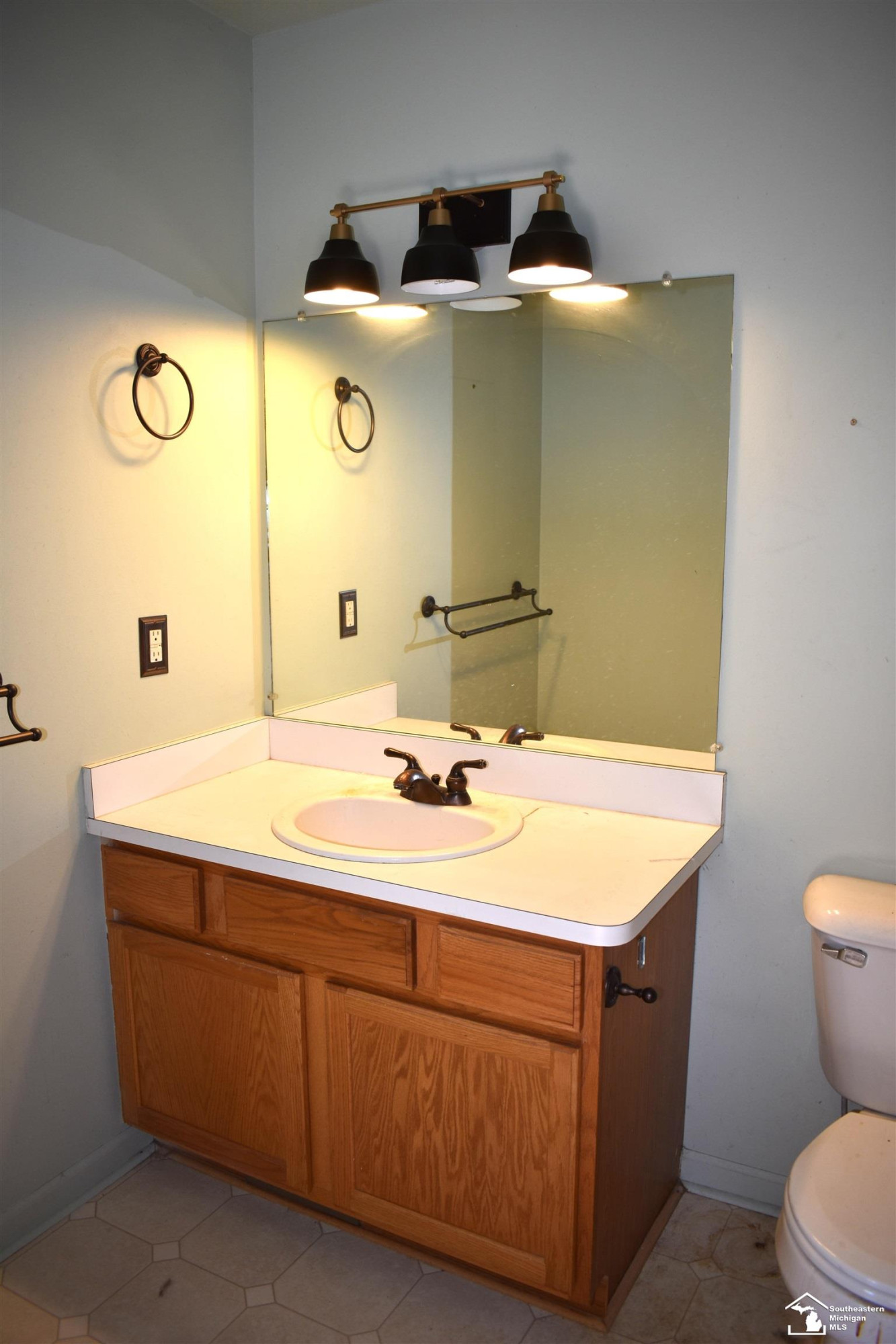 179 Carney Street, Dundee, MI 48131 — Photo 21