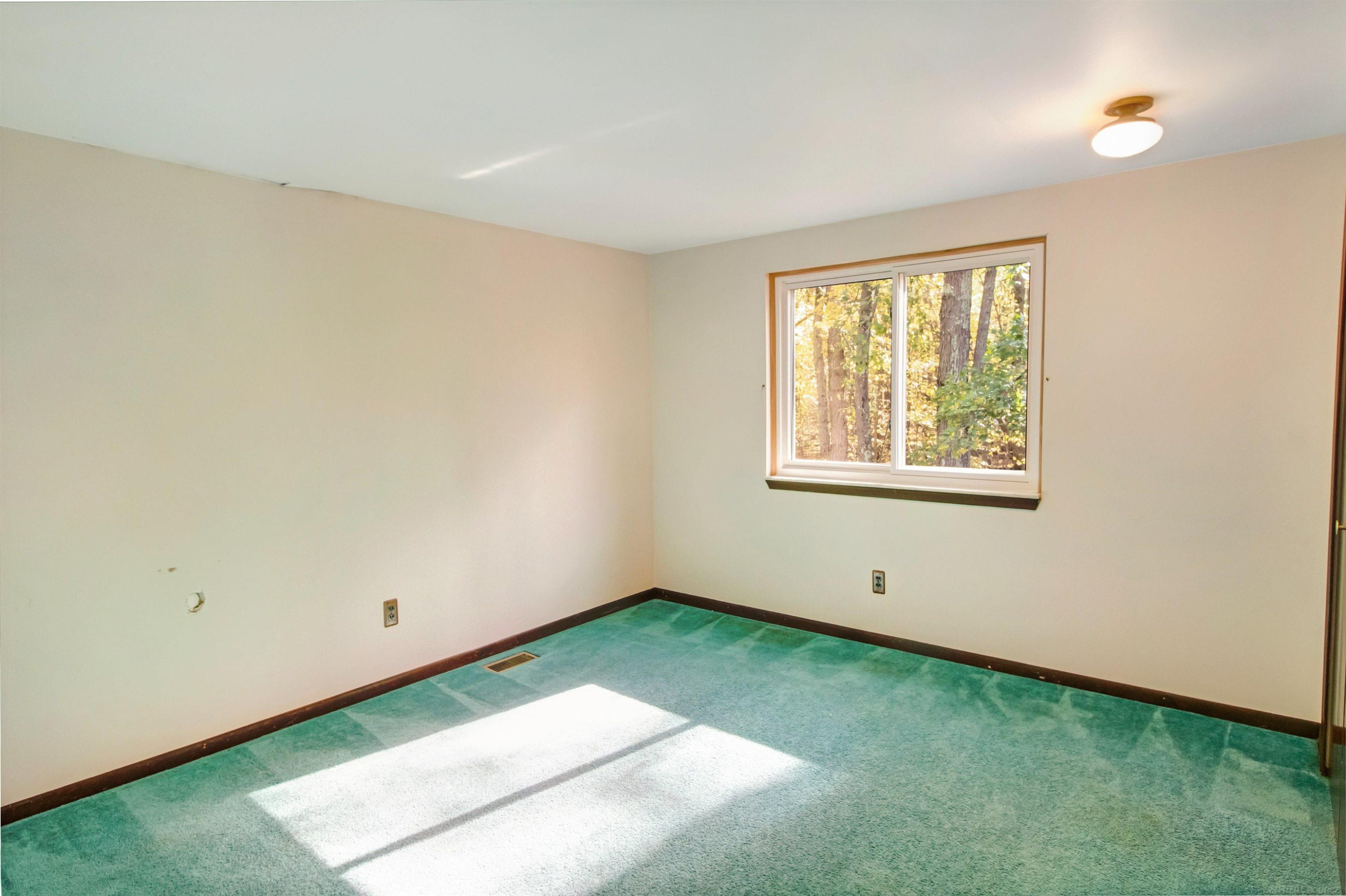 14757 Terry Road, Capac, MI 48002 — Photo 17